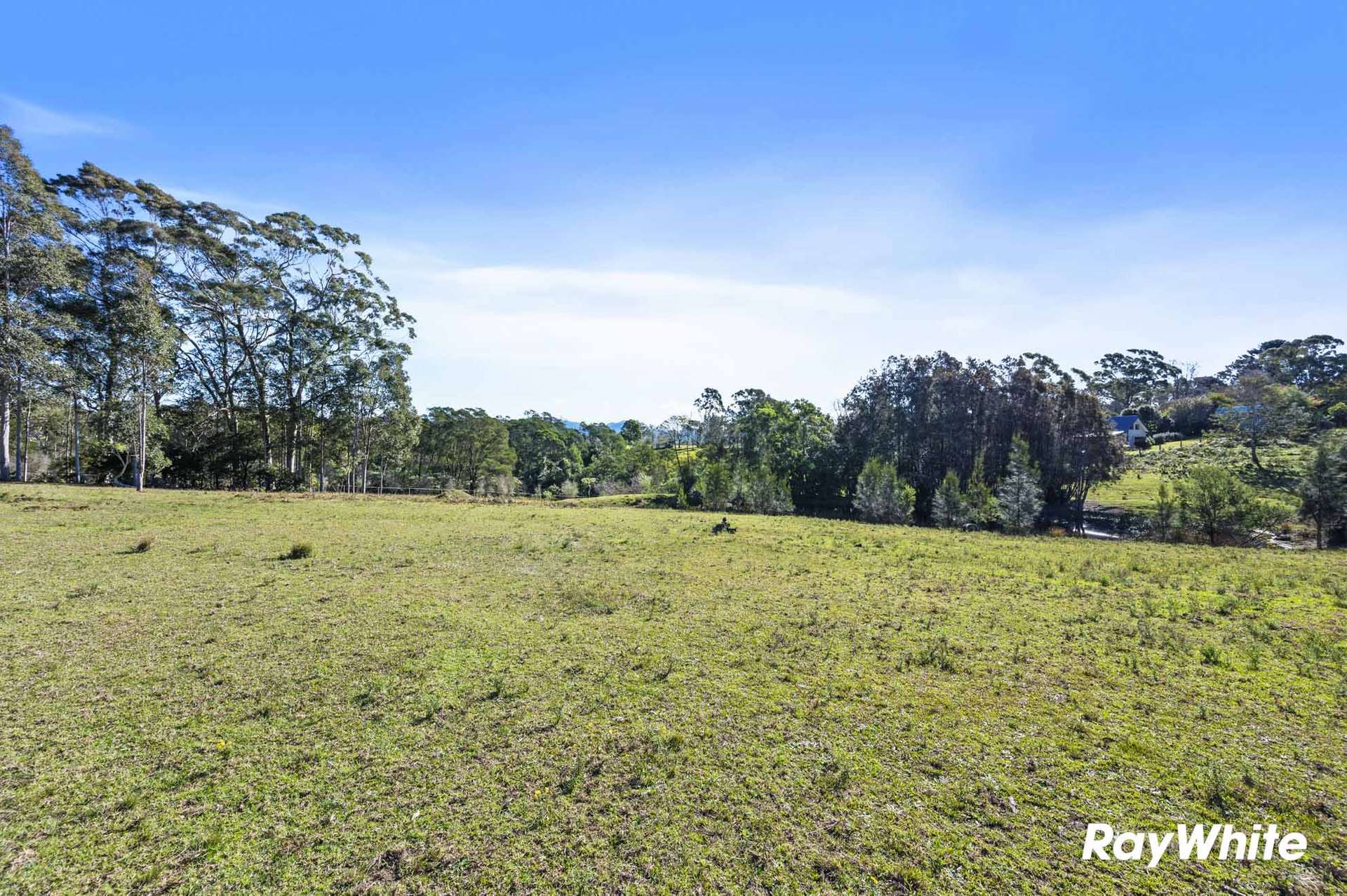4 Wiltshire Lane, Bodalla For Sale by Farmbuy.com - image 14