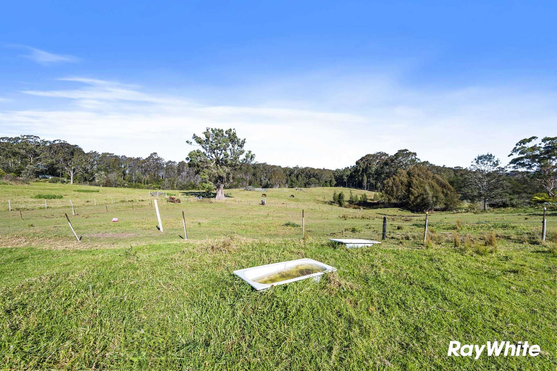 4 Wiltshire Lane, Bodalla For Sale by Farmbuy.com - image 13