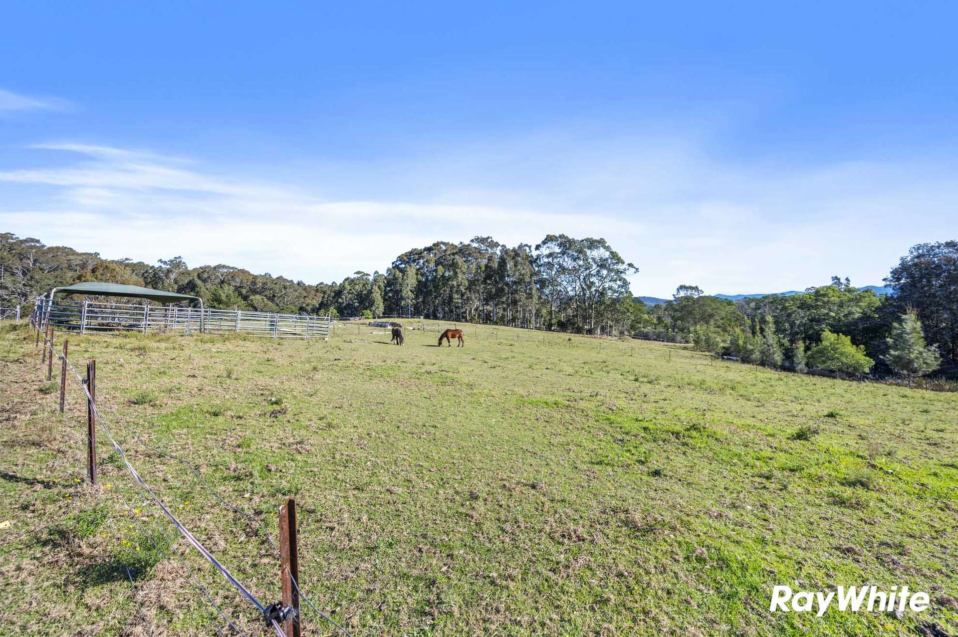 4 Wiltshire Lane, Bodalla For Sale by Farmbuy.com - image 20