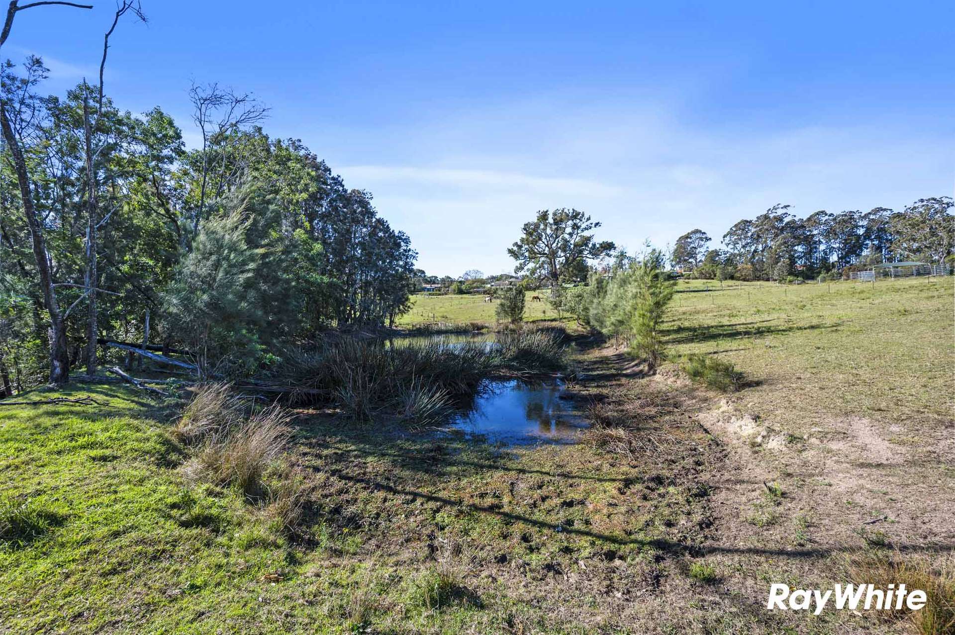 4 Wiltshire Lane, Bodalla For Sale by Farmbuy.com - image 19