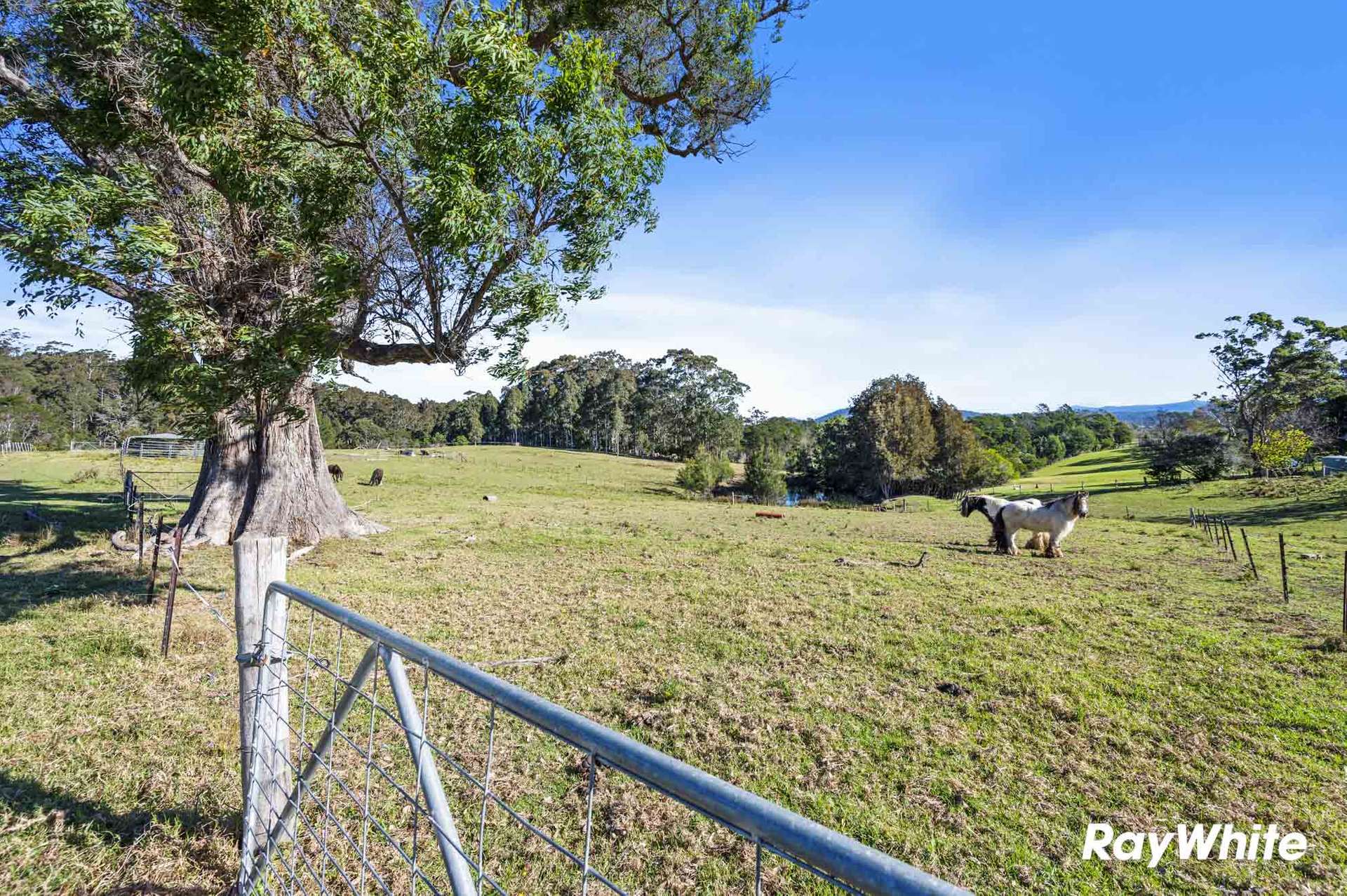 4 Wiltshire Lane, Bodalla For Sale by Farmbuy.com - image 15