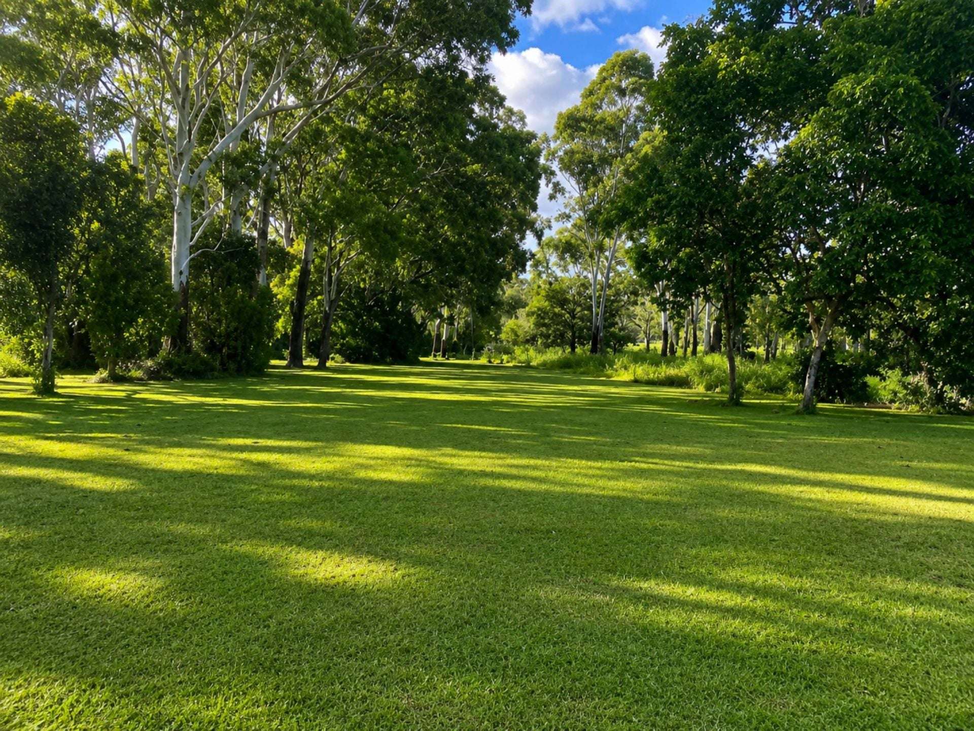 1006 Giru-Woodstock Road, Mount Surround For Sale by Farmbuy.com - image 20
