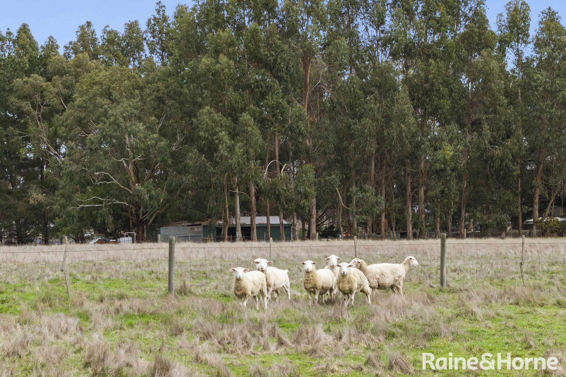 96 Baynton Road, Kyneton For Sale by Farmbuy.com - image 20