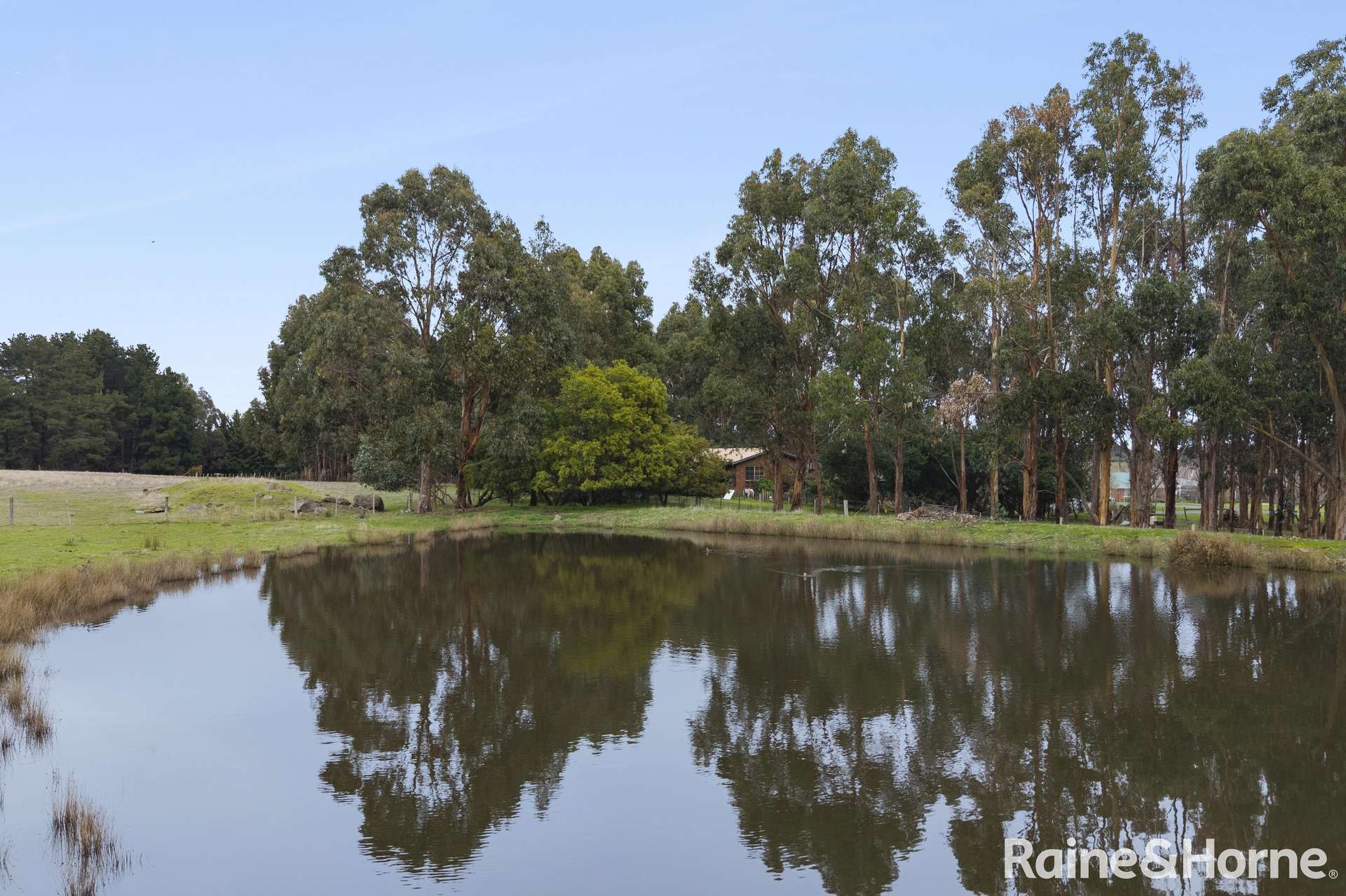 96 Baynton Road, Kyneton For Sale by Farmbuy.com - image 5