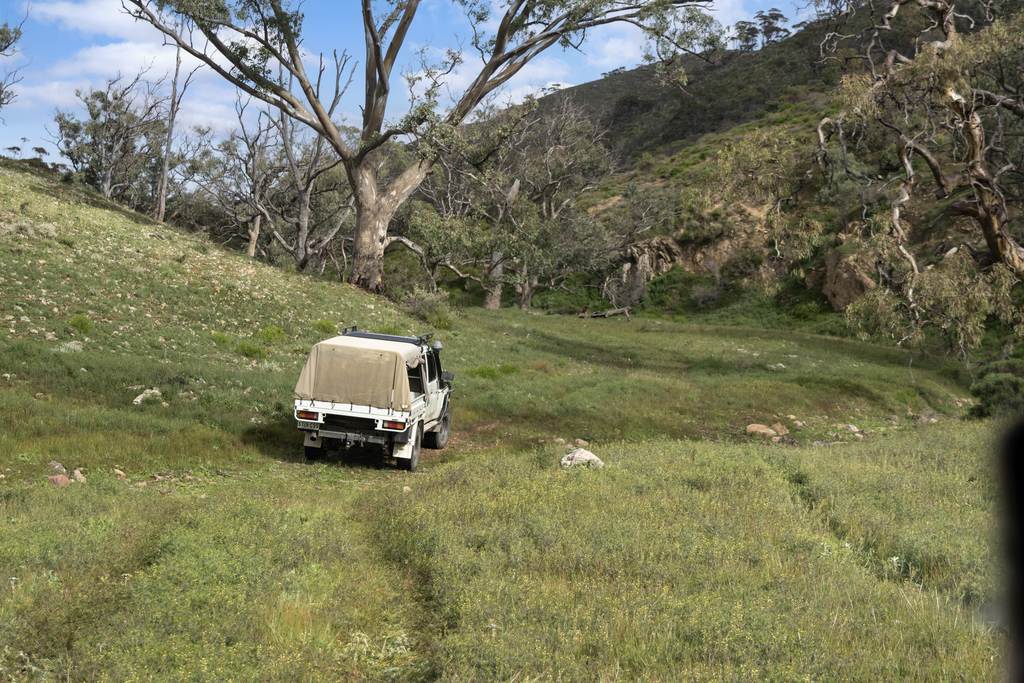 Lot 243 Flinders Ranges Way, Quorn SA 5433