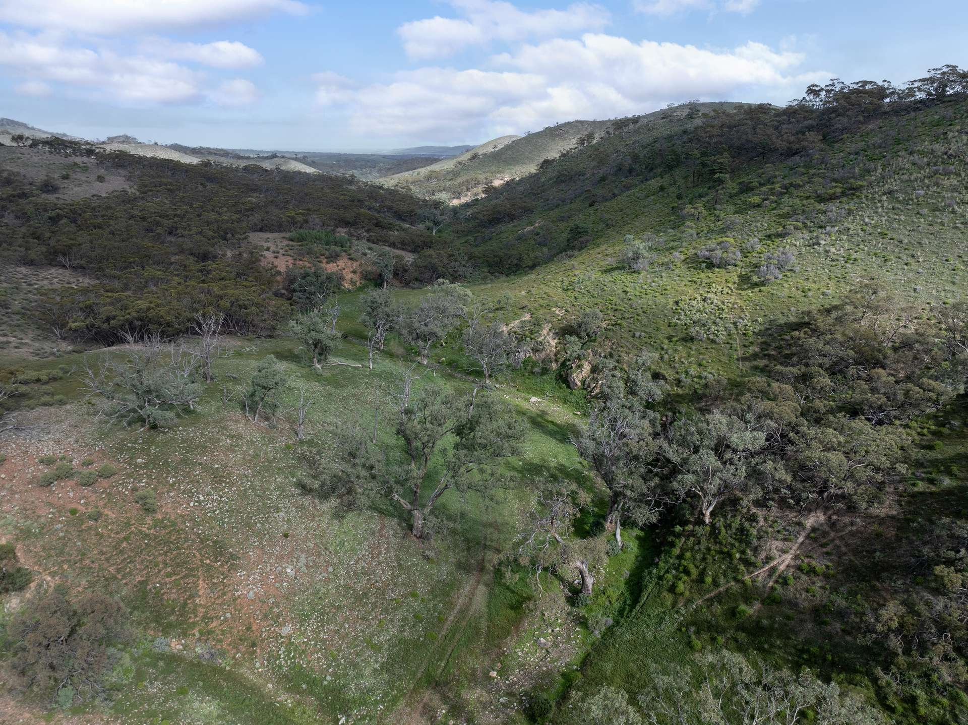 Lot 243 Flinders Ranges Way, Quorn For Sale by Farmbuy.com - image 5