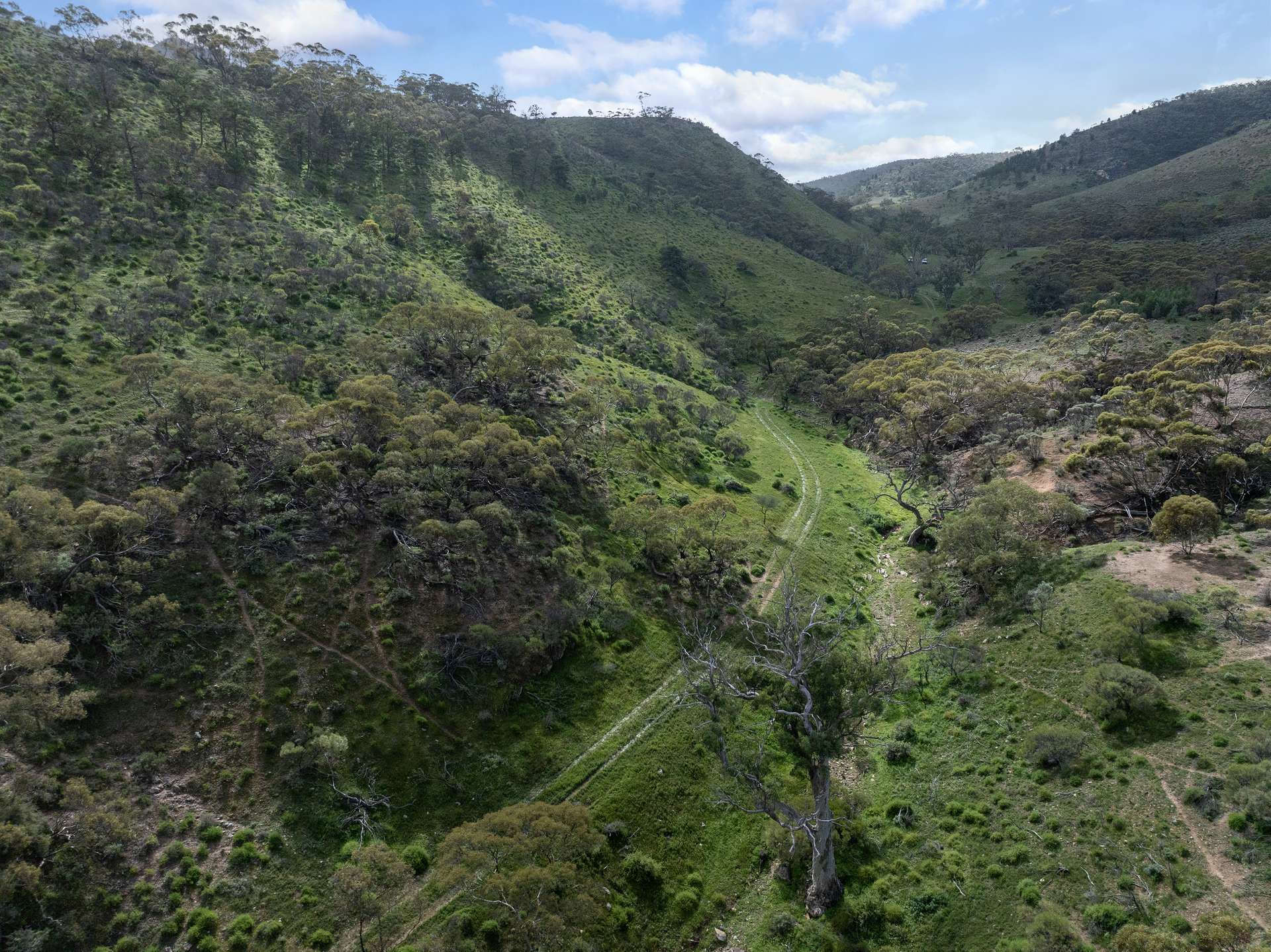 Lot 243 Flinders Ranges Way, Quorn For Sale by Farmbuy.com - image 4