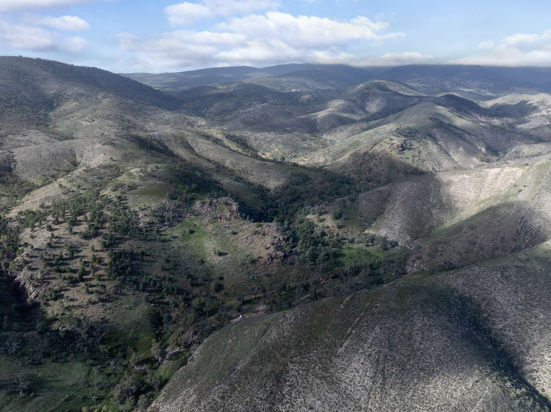 Lot 243 Flinders Ranges Way, Quorn For Sale by Farmbuy.com - image 9