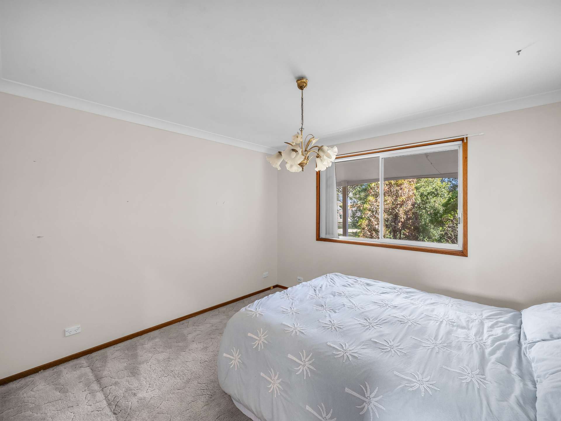 15-17 Avernus Street, Cobargo For Sale by Farmbuy.com - image 6