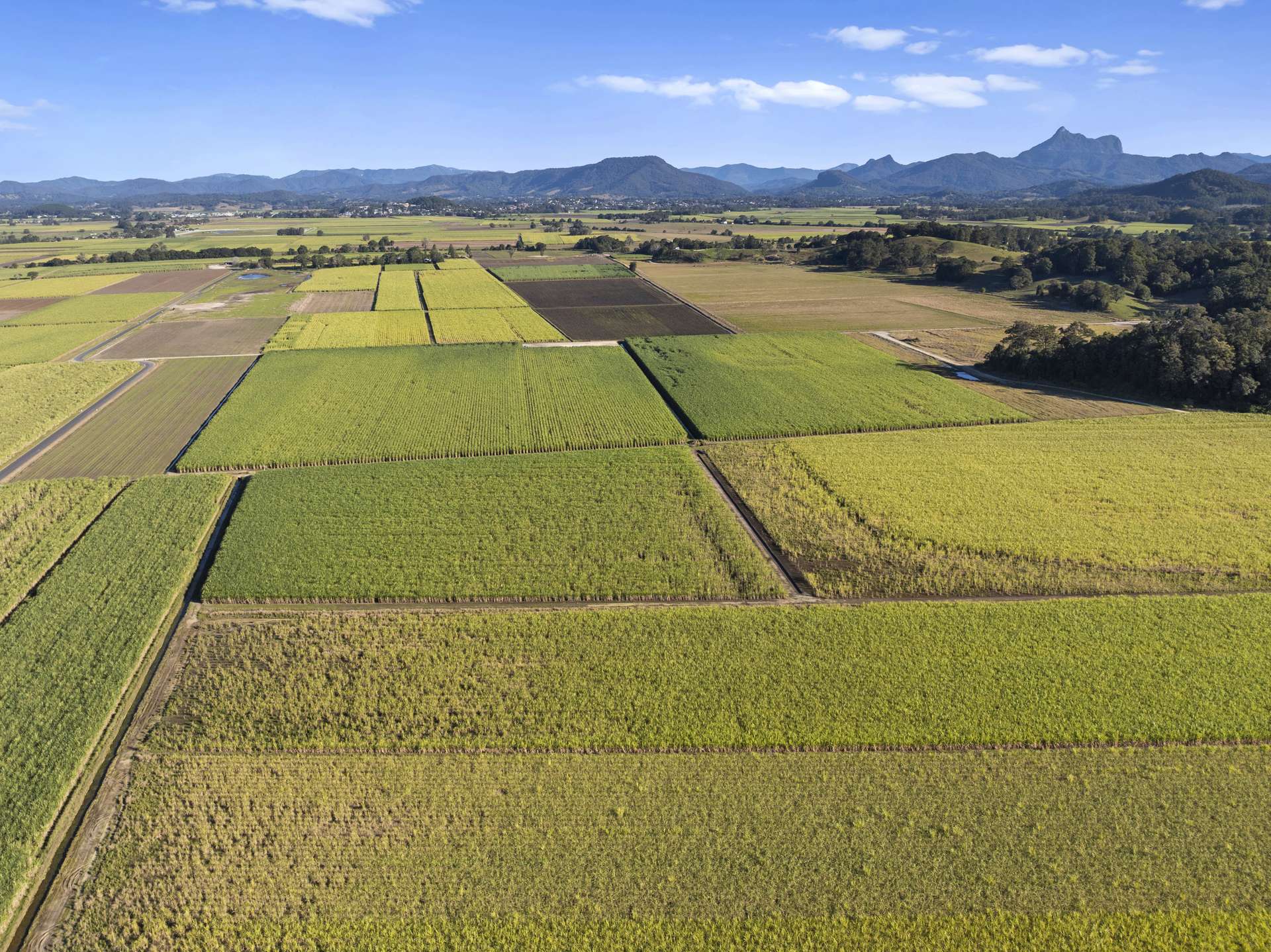 279 Dulguigan Road, Dulguigan Auction by Farmbuy.com - image 11