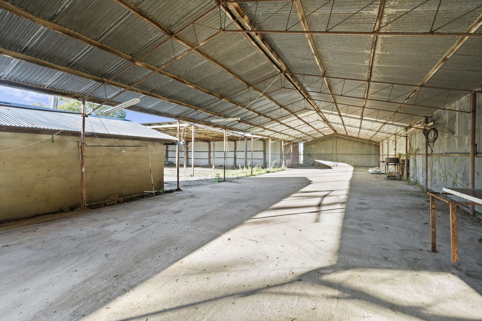 279 Dulguigan Road, Dulguigan Auction by Farmbuy.com - image 3