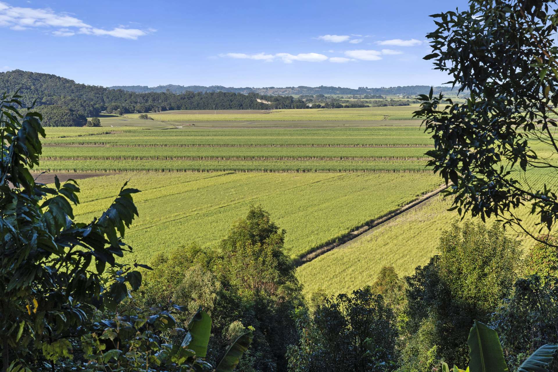 279 Dulguigan Road, Dulguigan Auction by Farmbuy.com - image 17