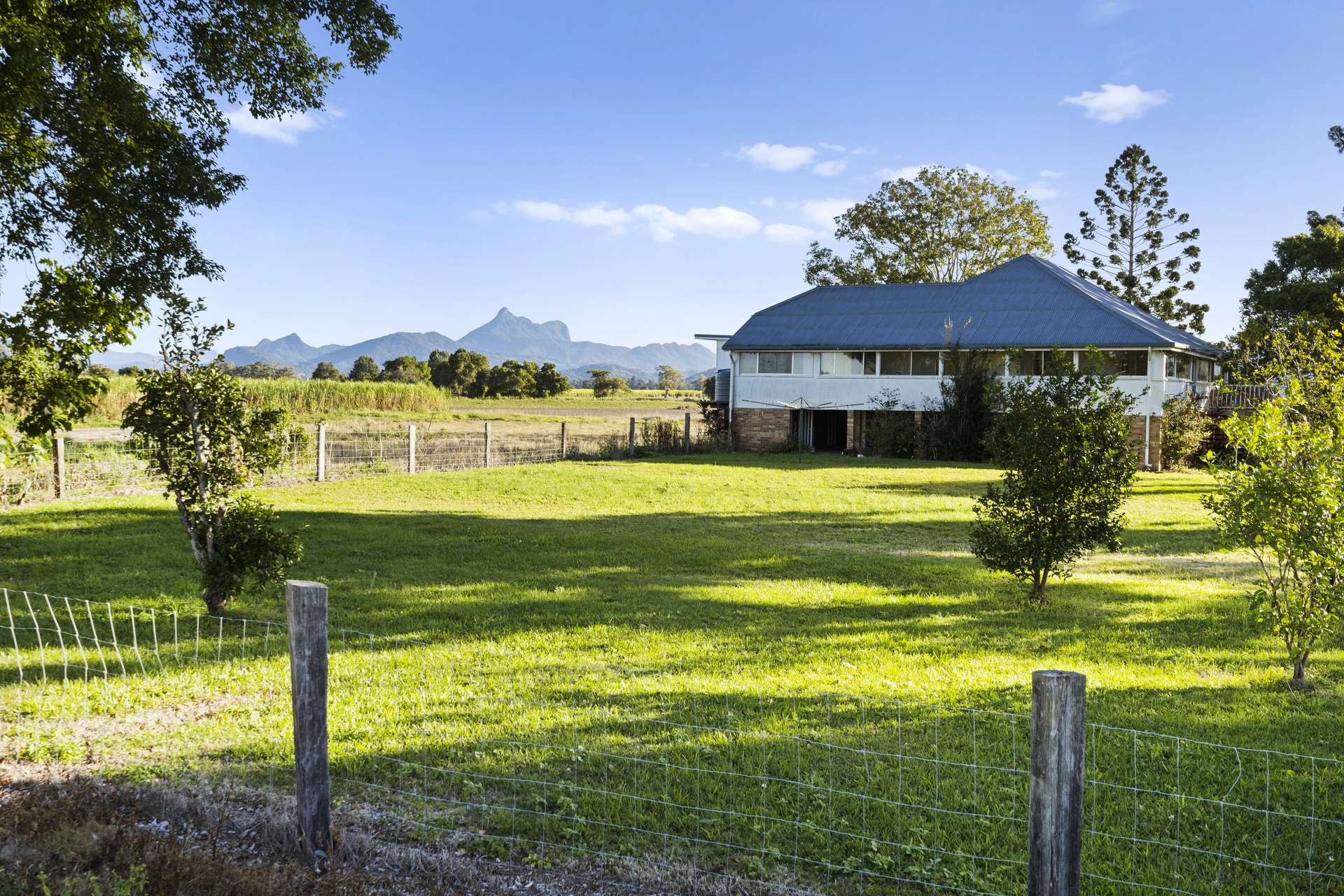 279 Dulguigan Road, Dulguigan Auction by Farmbuy.com - image 7