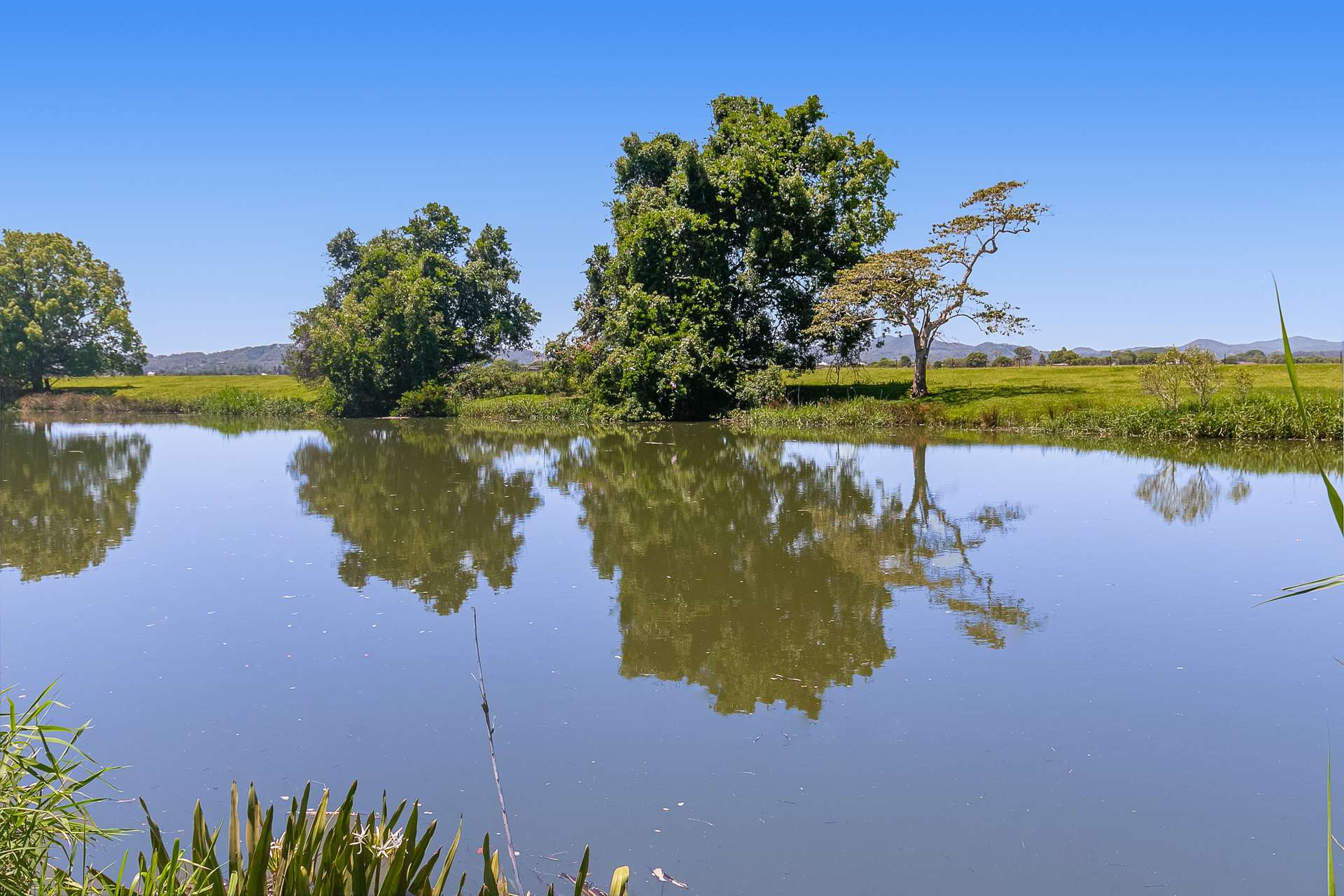 279 Dulguigan Road, Dulguigan Auction by Farmbuy.com - image 16