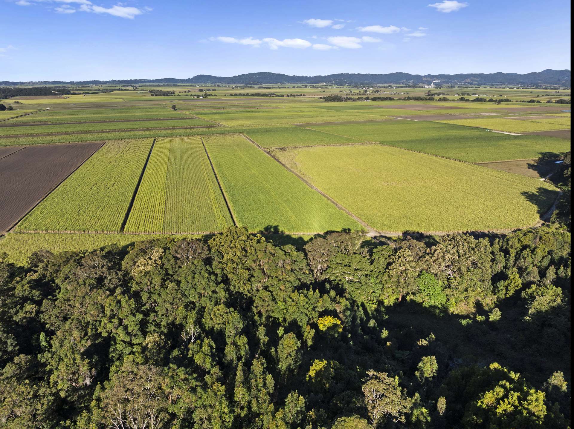279 Dulguigan Road, Dulguigan Auction by Farmbuy.com - image 18