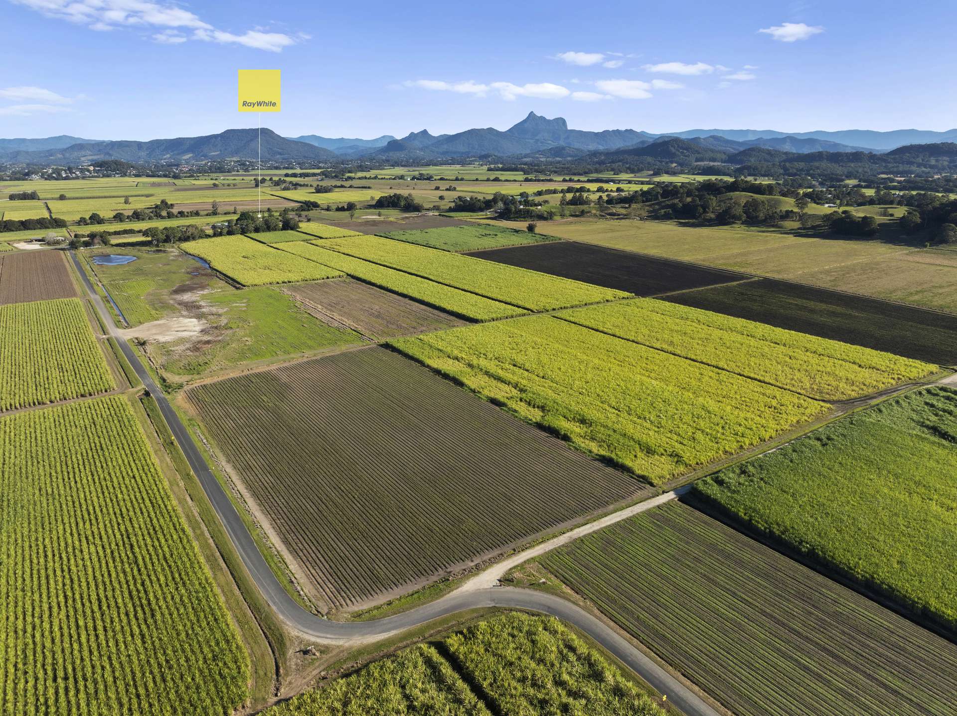 279 Dulguigan Road, Dulguigan Auction by Farmbuy.com - image 4