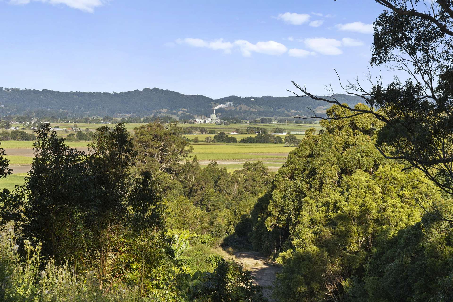 279 Dulguigan Road, Dulguigan Auction by Farmbuy.com - image 14