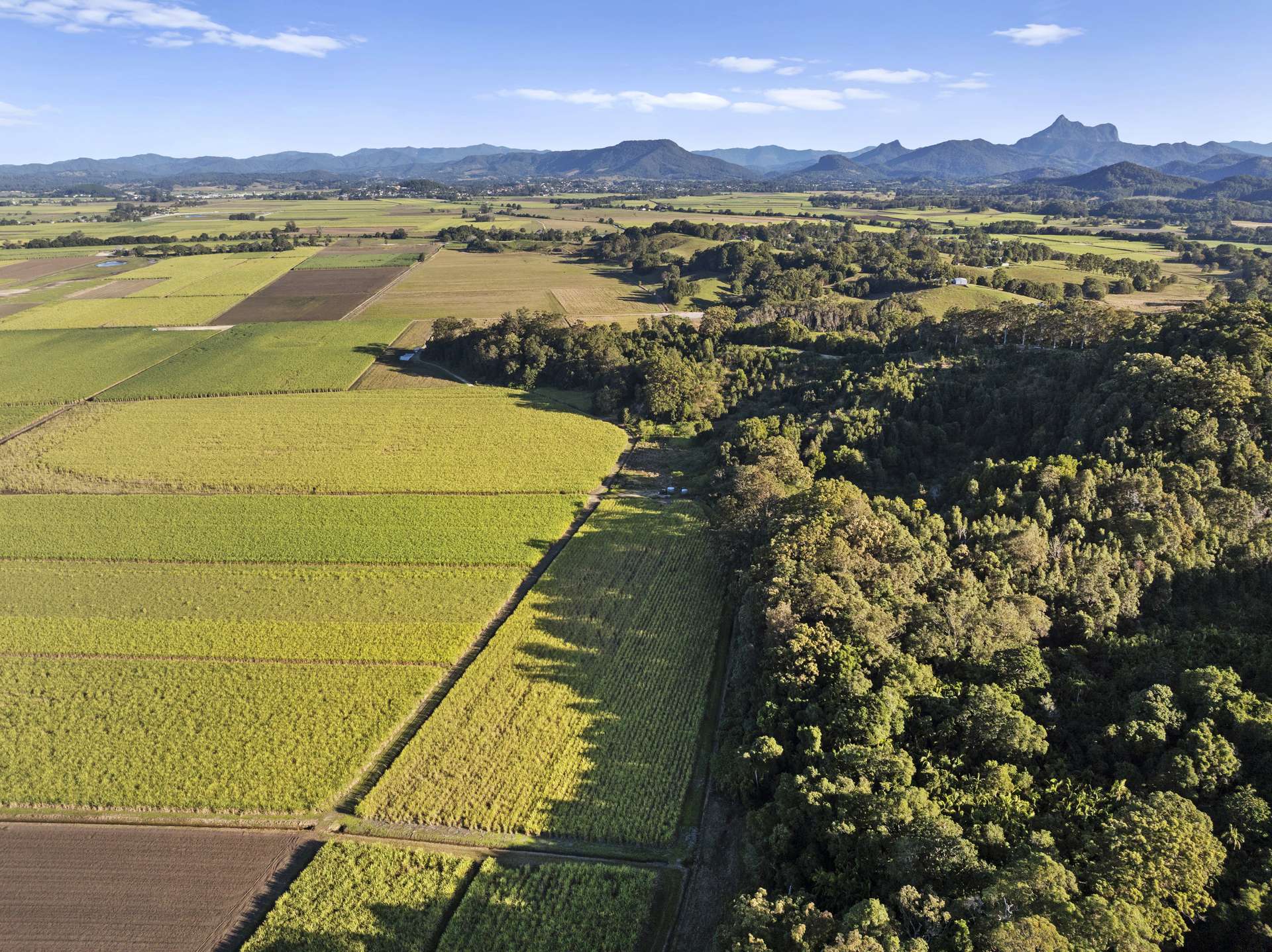 279 Dulguigan Road, Dulguigan Auction by Farmbuy.com - image 19