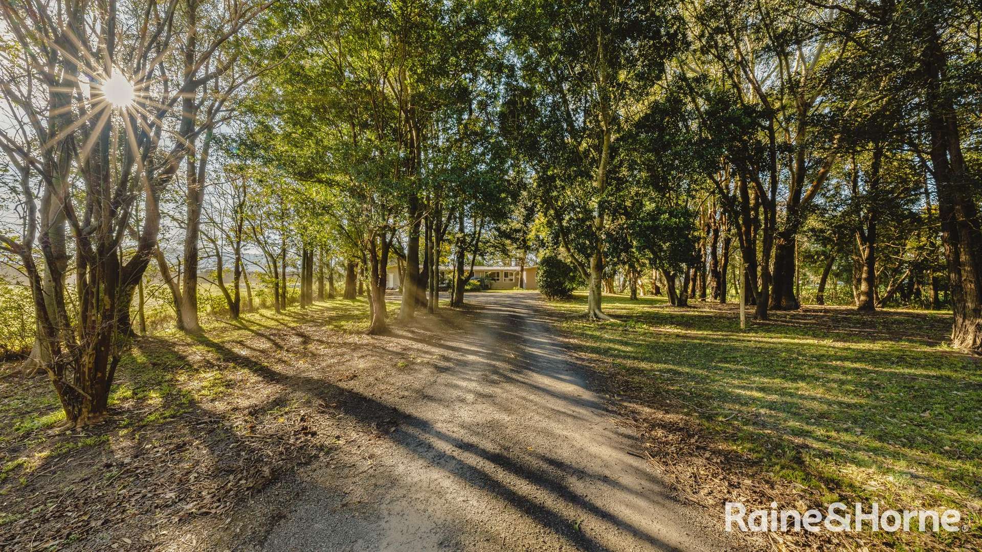 445 Bolong Road, Bolong For Sale by Farmbuy.com - image 6
