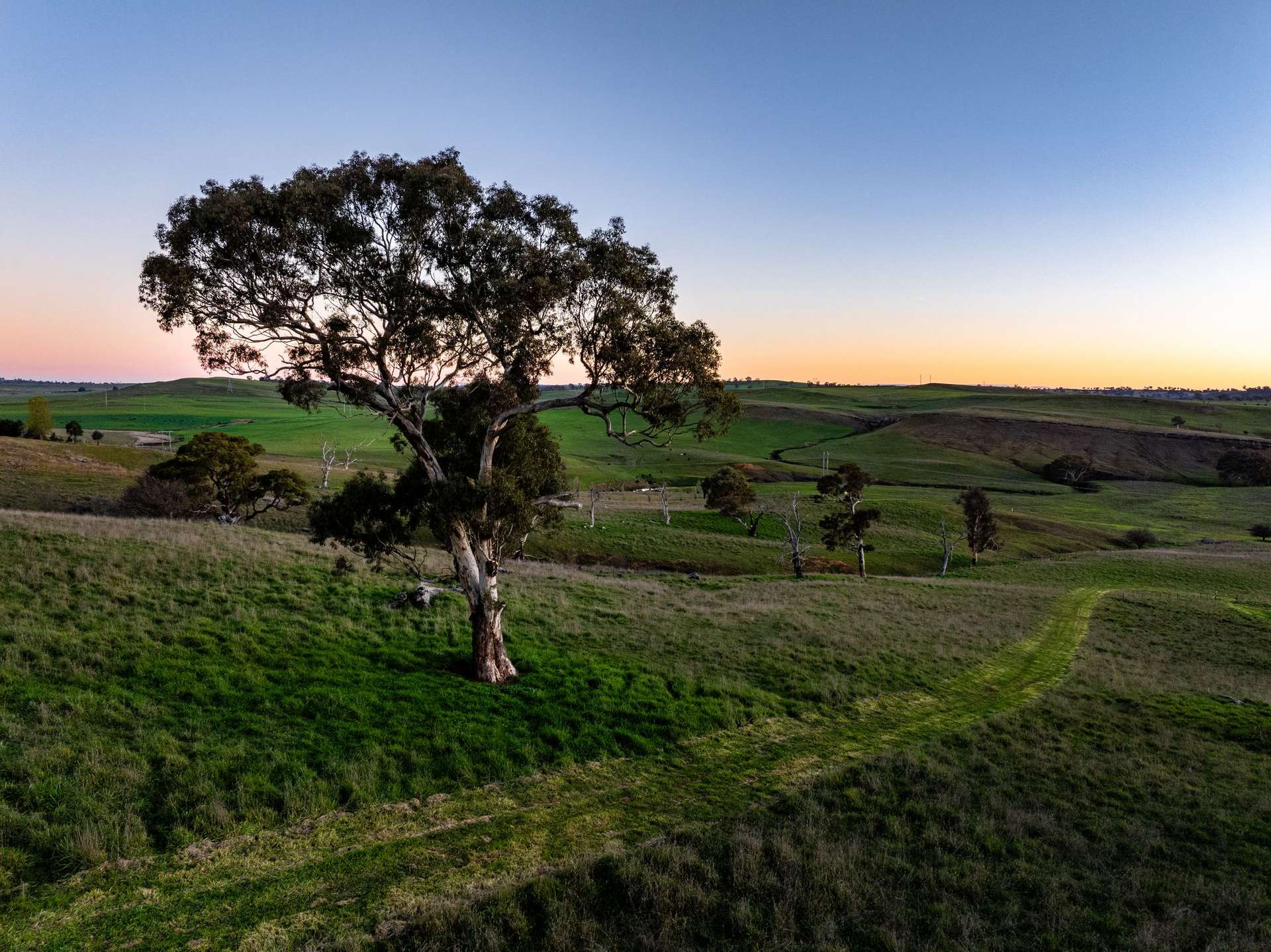 "Windamere", 11 Shearsby Crescent, Yass Auction by Farmbuy.com - image 5