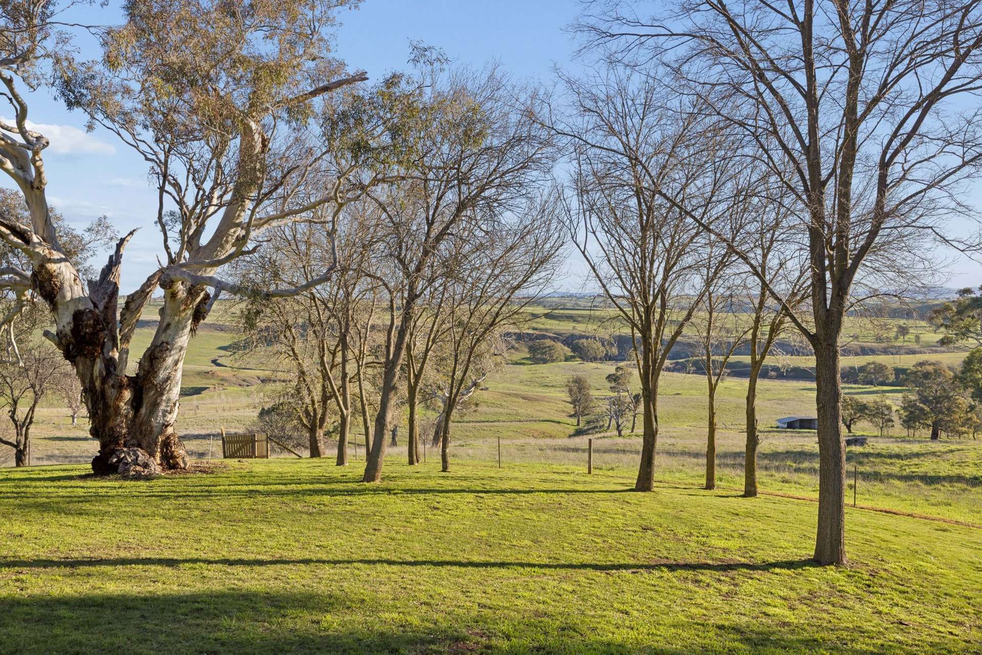 "Windamere", 11 Shearsby Crescent, Yass Auction by Farmbuy.com - image 4