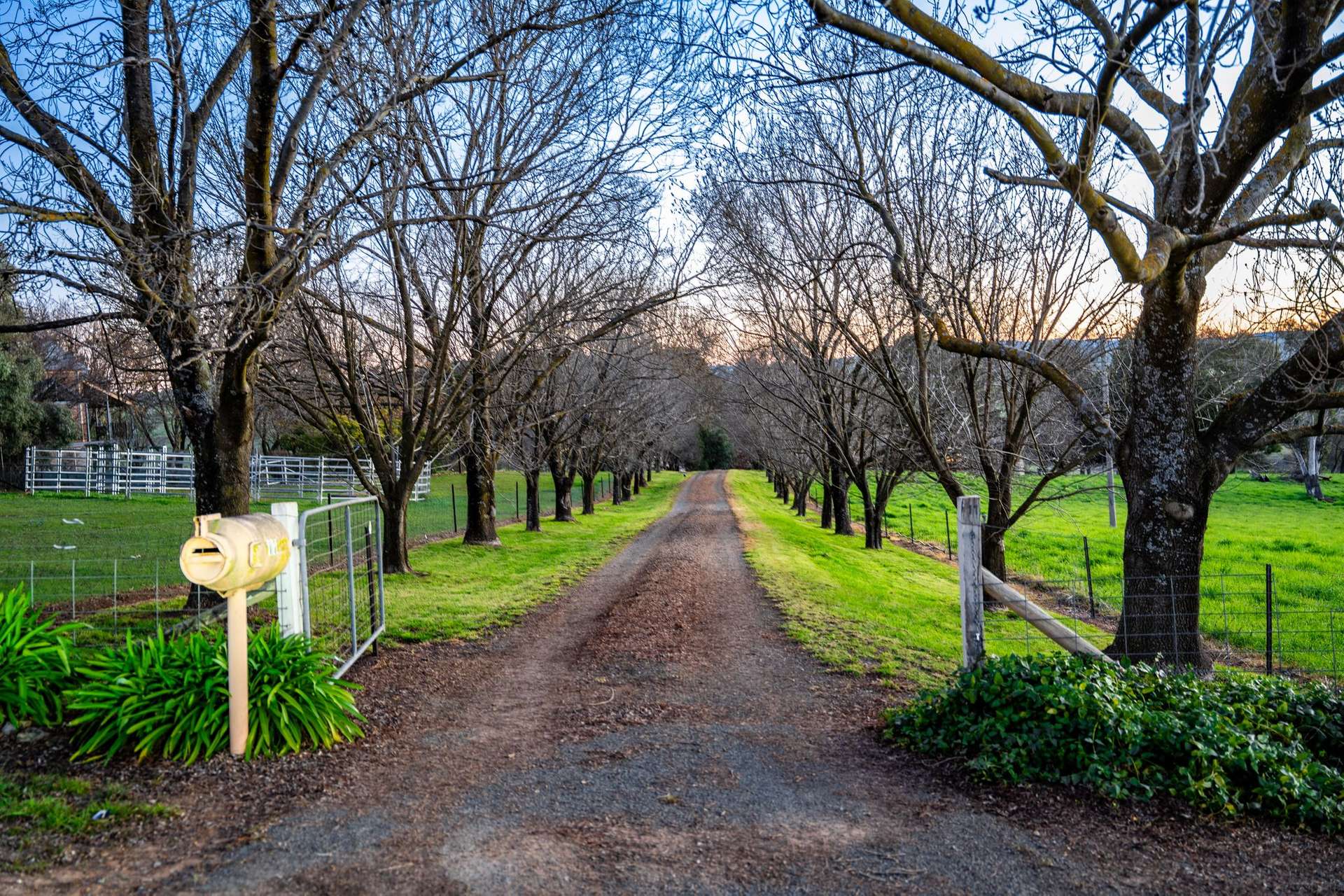 "Windamere", 11 Shearsby Crescent, Yass Auction by Farmbuy.com - image 2