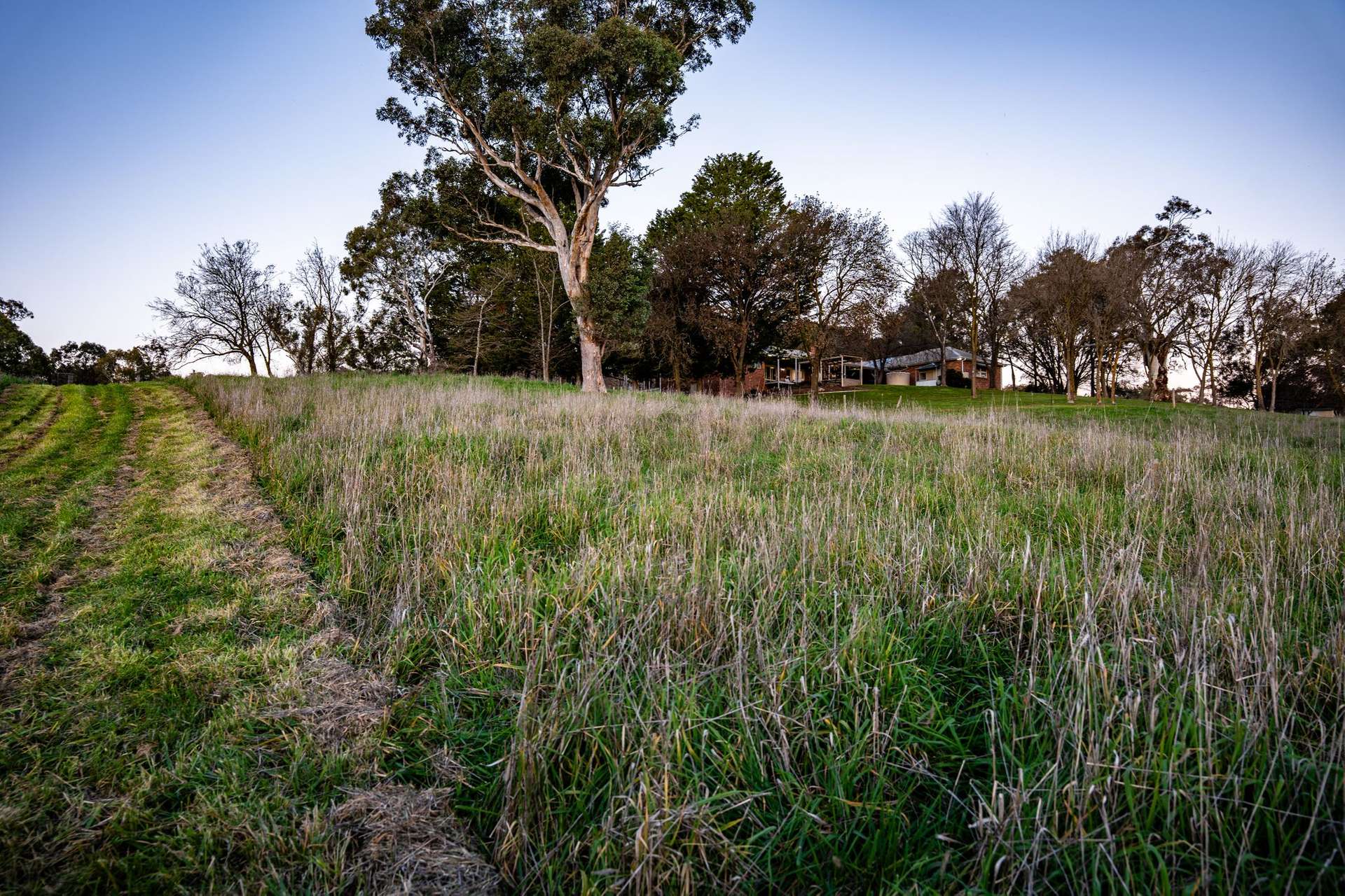 "Windamere", 11 Shearsby Crescent, Yass Auction by Farmbuy.com - image 26