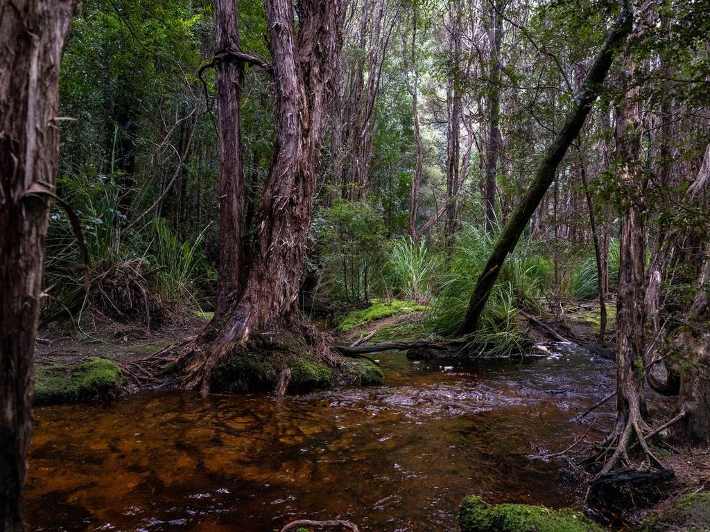 Lot 1&comma; Loyotea Road, Loyetea TAS 7316