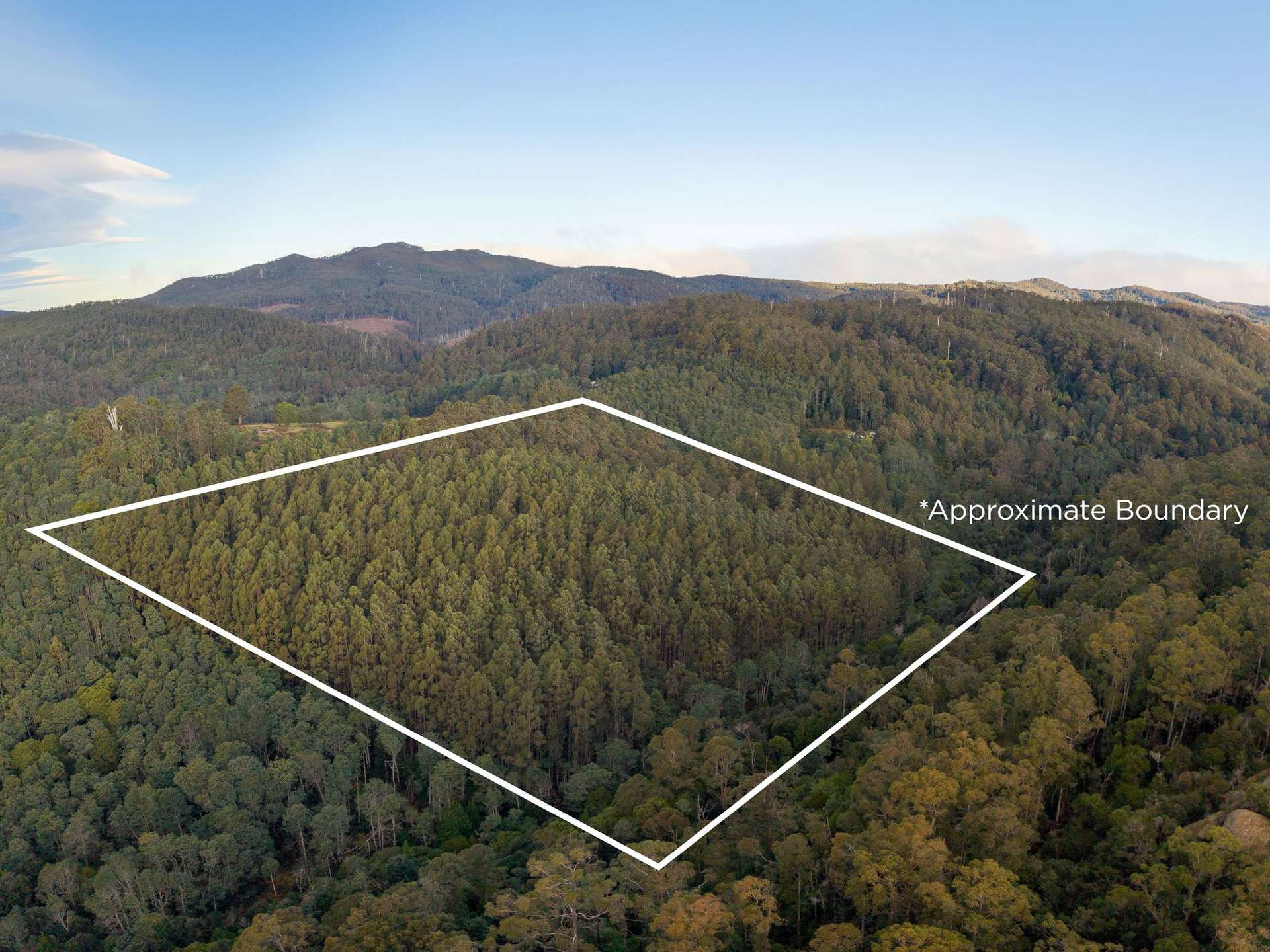 Lot 1,  Loyotea Road, Loyetea For Sale by Farmbuy.com - image 17