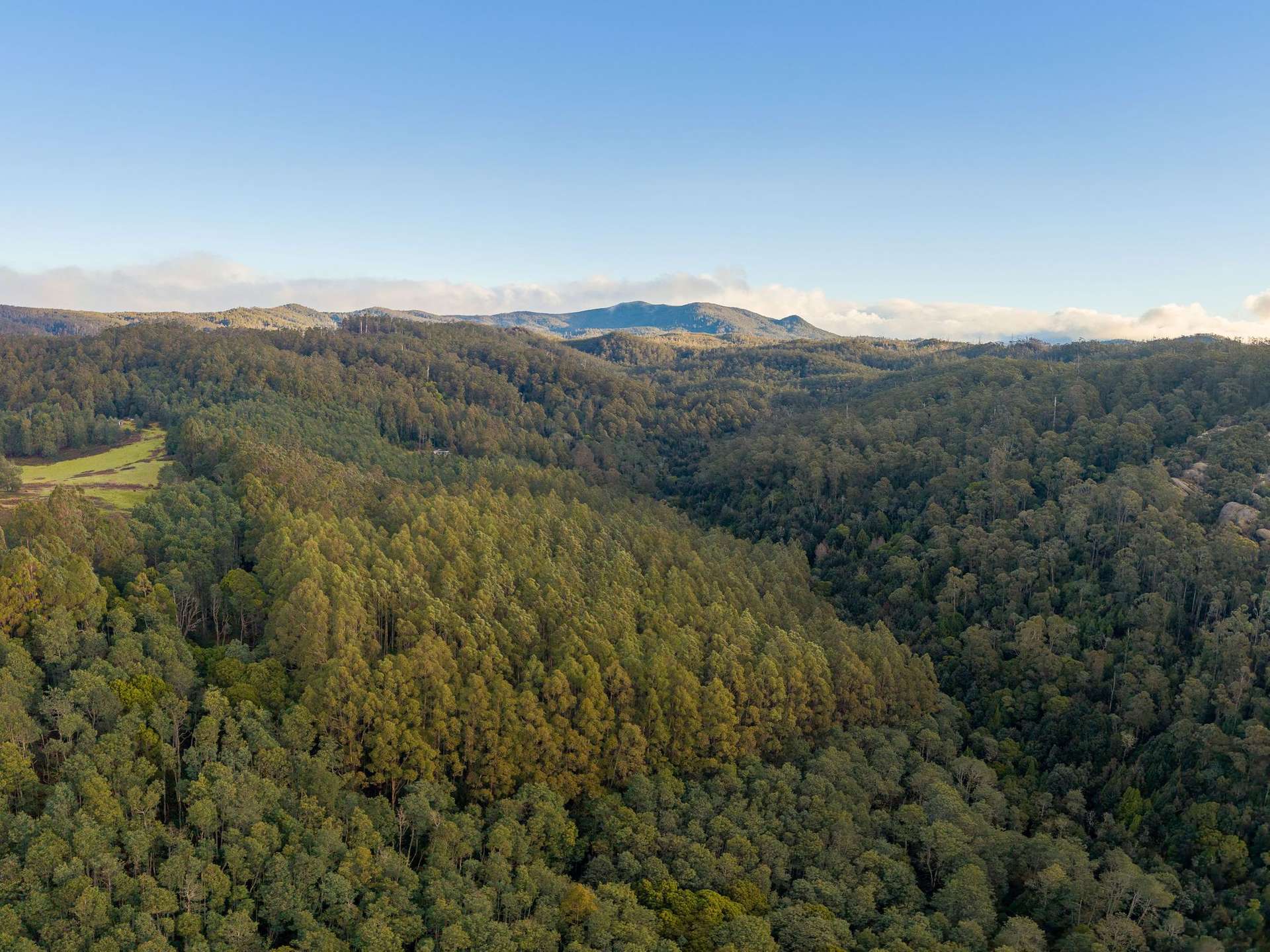Lot 1,  Loyotea Road, Loyetea For Sale by Farmbuy.com - image 15