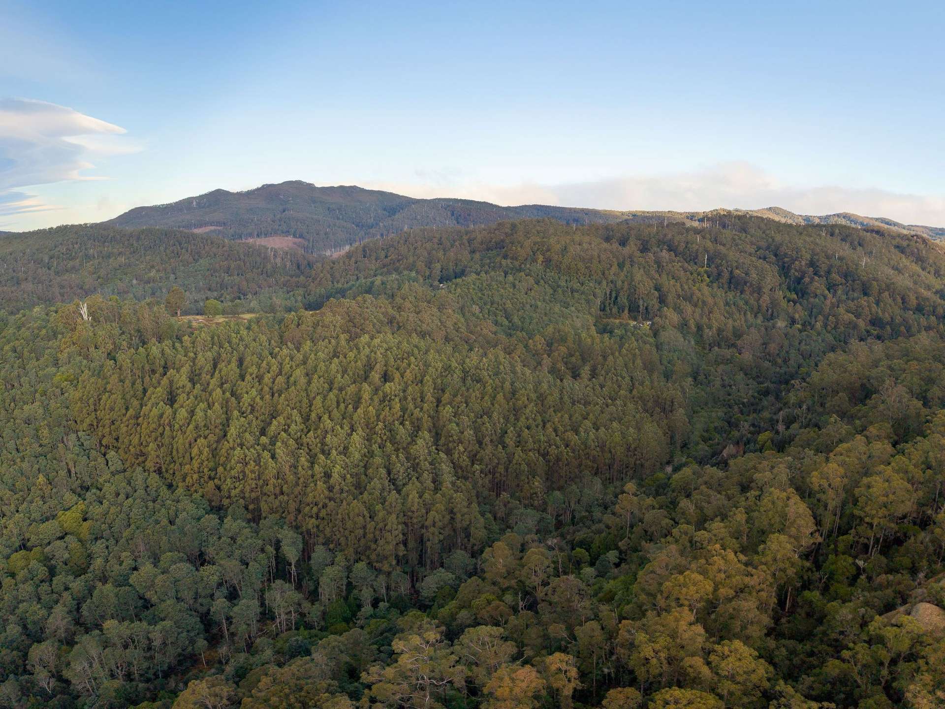 Lot 1,  Loyotea Road, Loyetea For Sale by Farmbuy.com - image 9