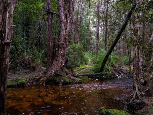 Lot 1&comma; Loyotea Road, Loyetea TAS 7316