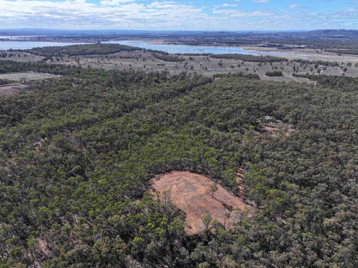 1783 Tobacco Road, Coolmunda For Sale by Farmbuy.com - image 6