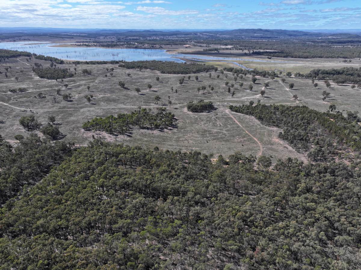 1783 Tobacco Road, Coolmunda For Sale by Farmbuy.com - image 8