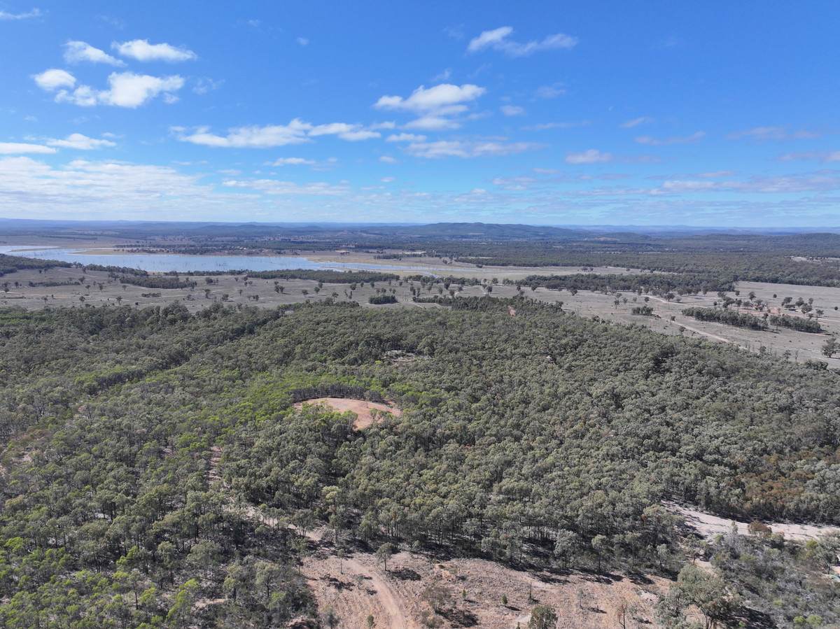 1783 Tobacco Road, Coolmunda For Sale by Farmbuy.com - image 7
