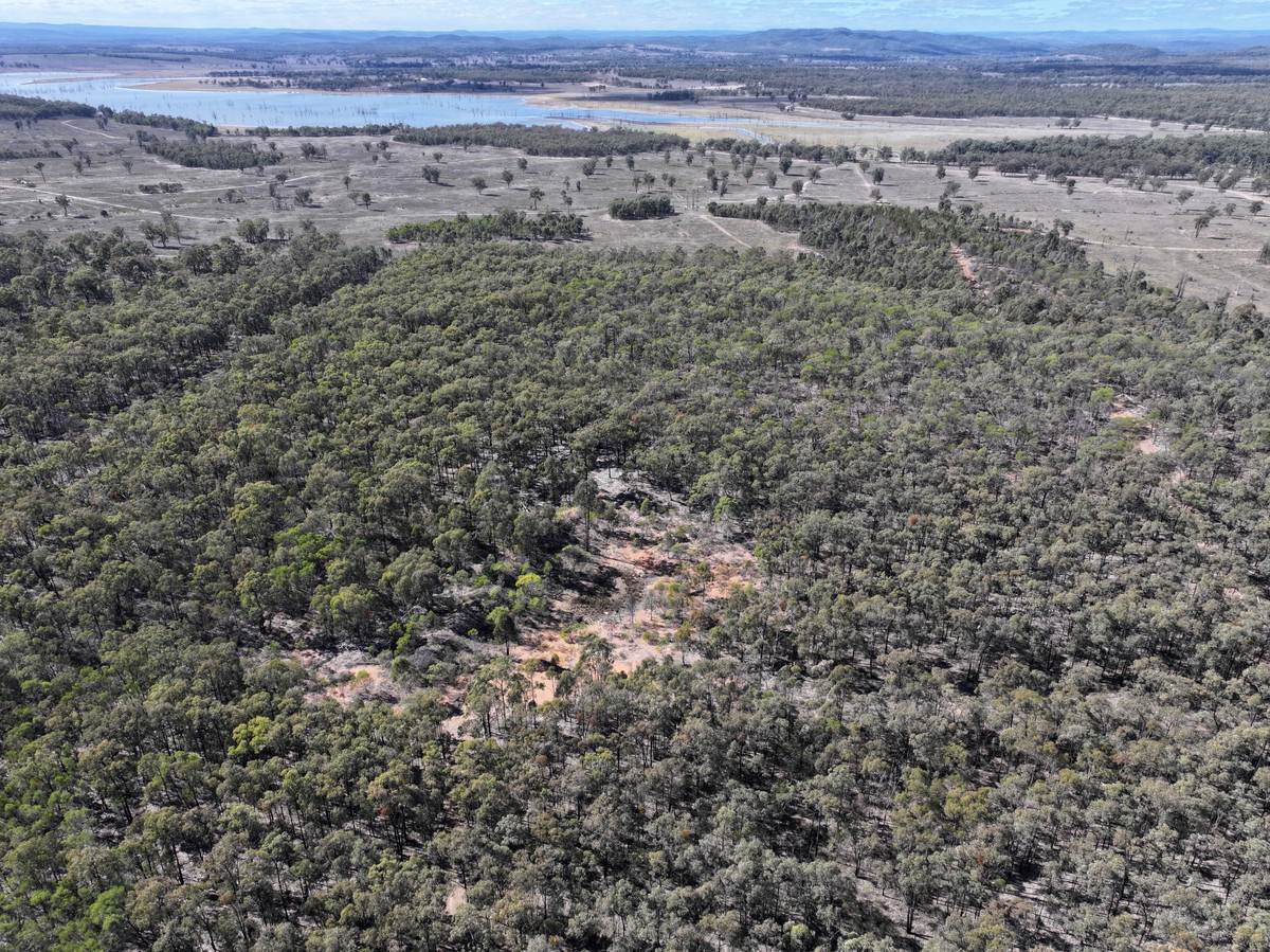1783 Tobacco Road, Coolmunda For Sale by Farmbuy.com - image 12