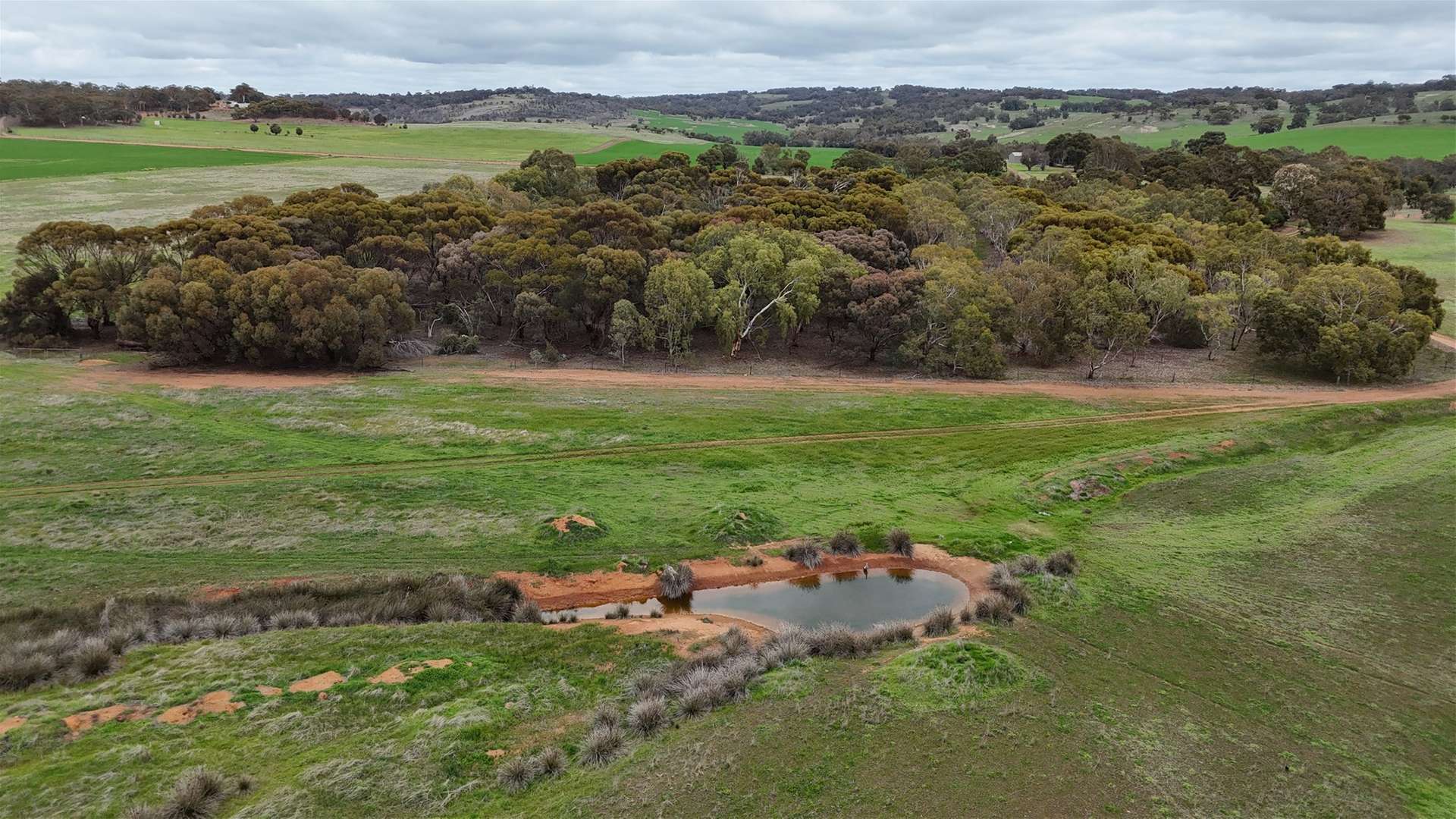 278 Myanarra Road, York For Sale by Farmbuy.com - image 16