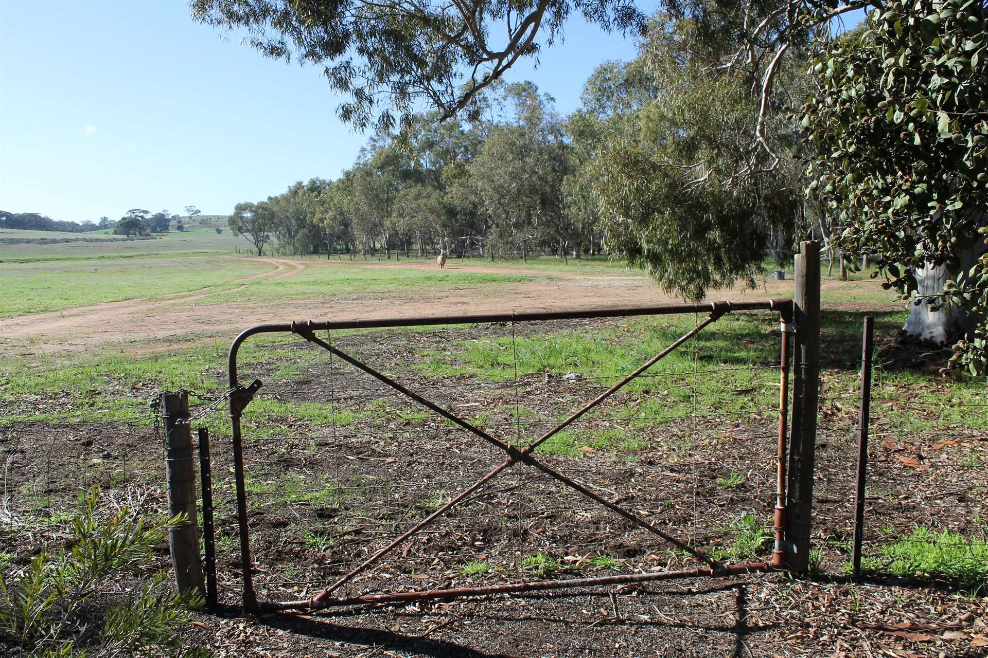 278 Myanarra Road, York For Sale by Farmbuy.com - image 3
