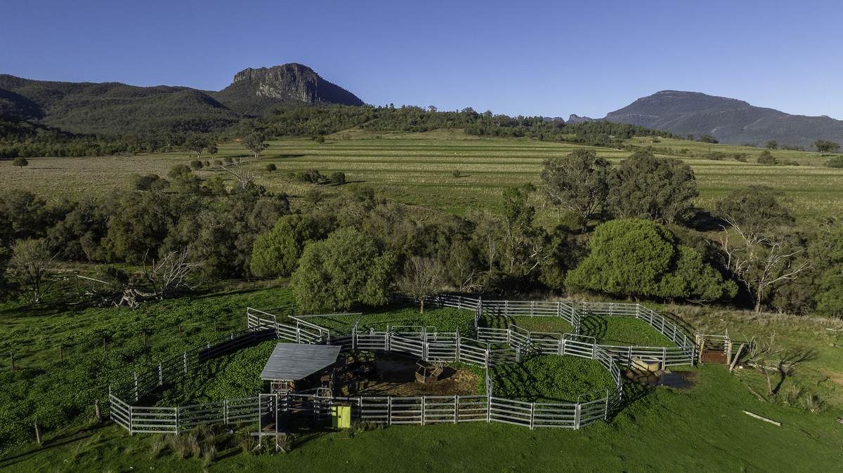'Tanamera' Allambie Road, Bellata Auction by Farmbuy.com - image 22