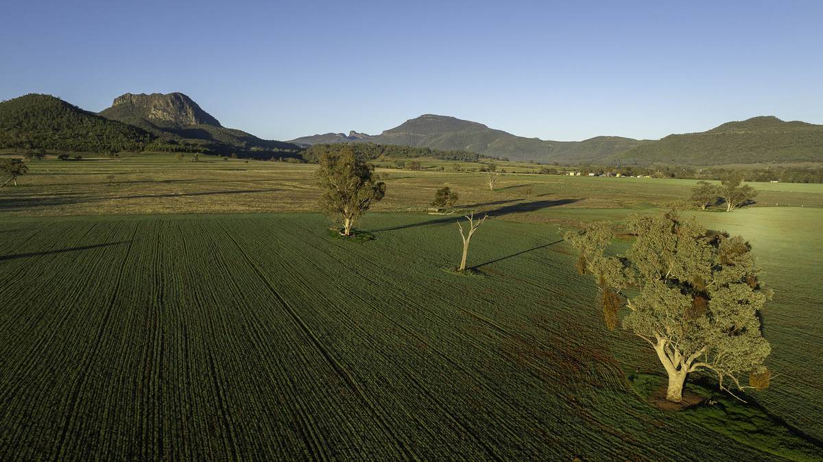 'Tanamera' Allambie Road, Bellata Auction by Farmbuy.com - image 31