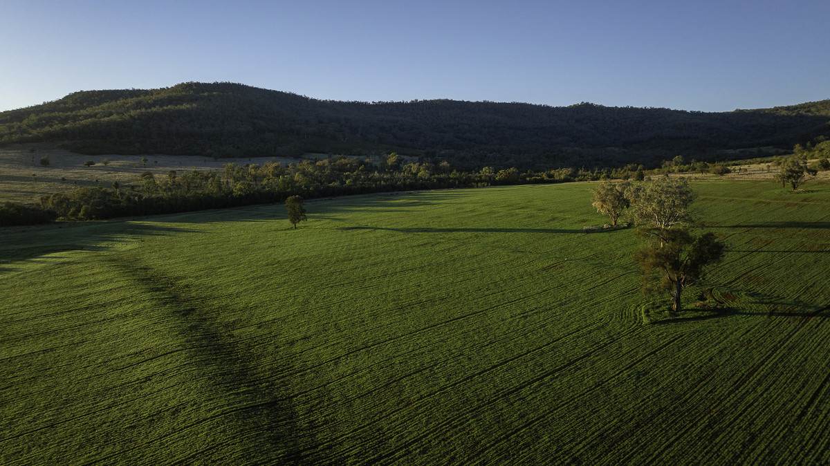 'Tanamera' Allambie Road, Bellata Auction by Farmbuy.com - image 7