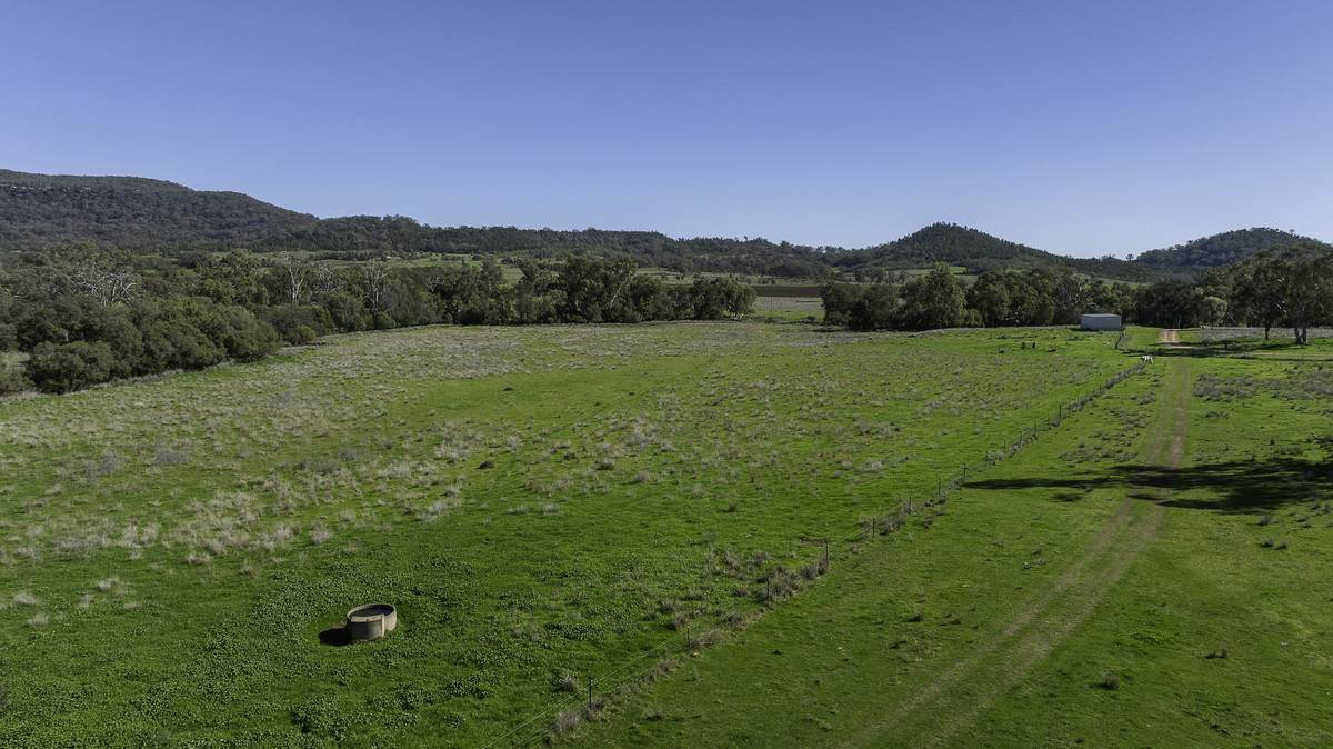 'Tanamera' Allambie Road, Bellata Auction by Farmbuy.com - image 4