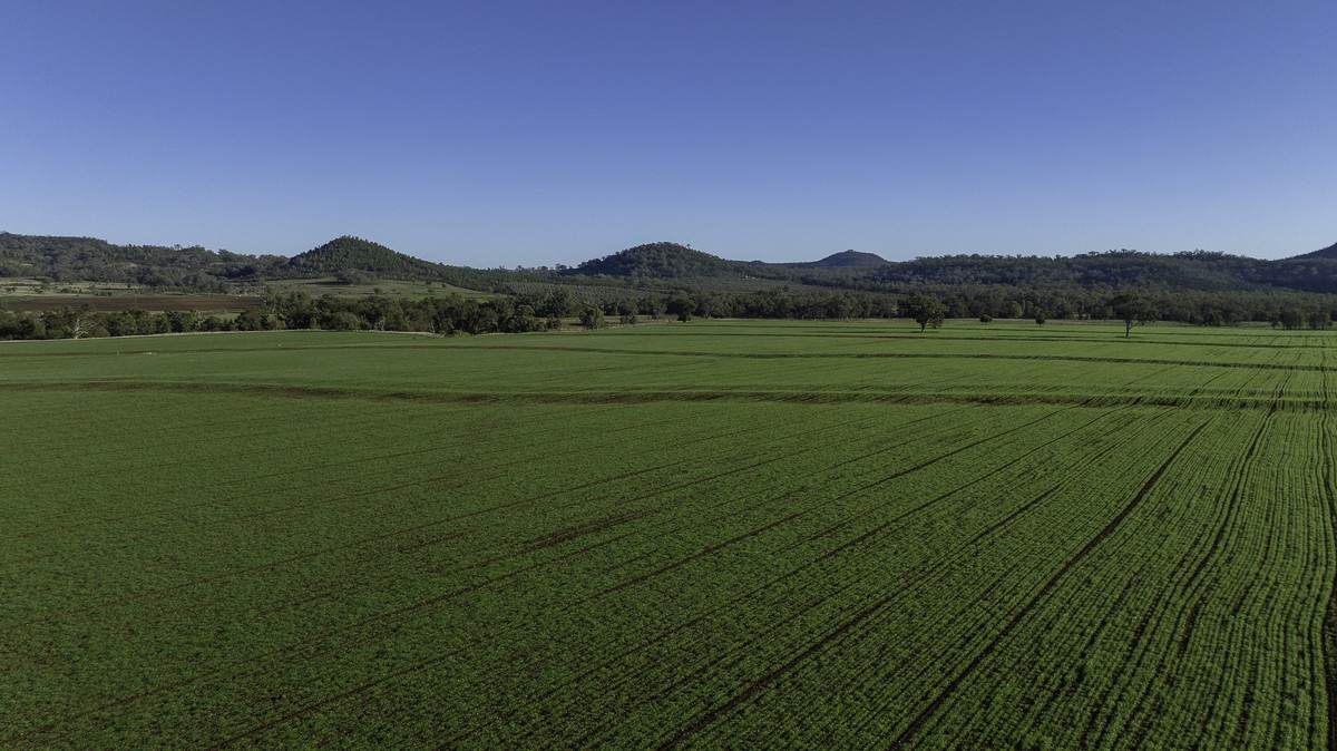 'Tanamera' Allambie Road, Bellata Auction by Farmbuy.com - image 11