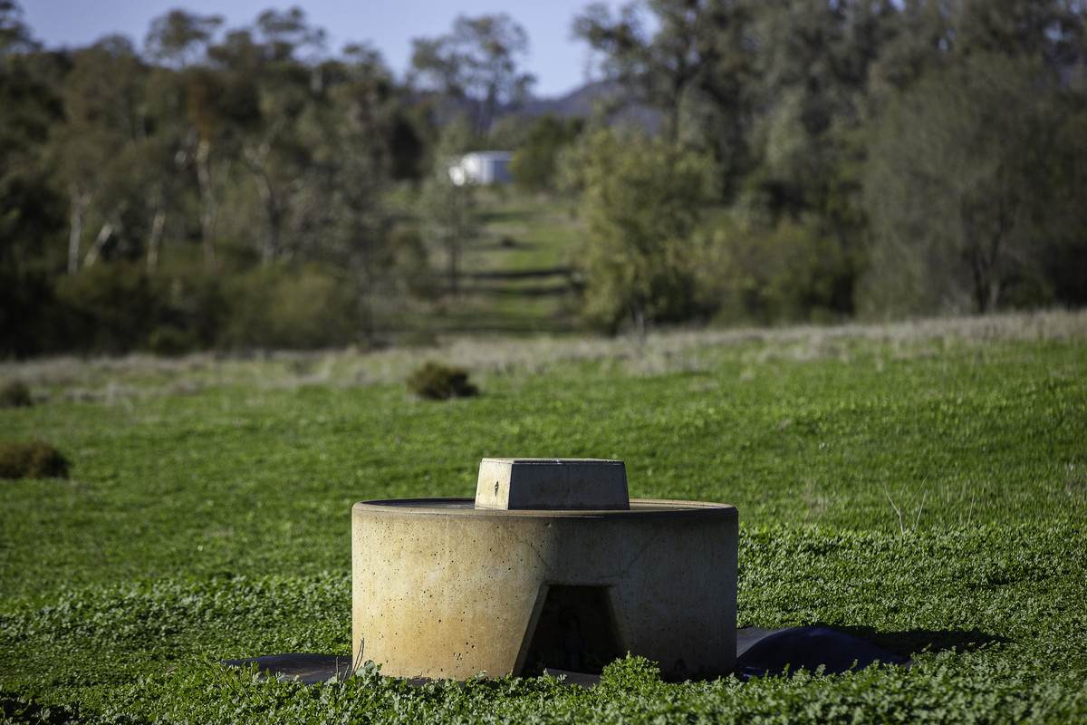 'Tanamera' Allambie Road, Bellata Auction by Farmbuy.com - image 13