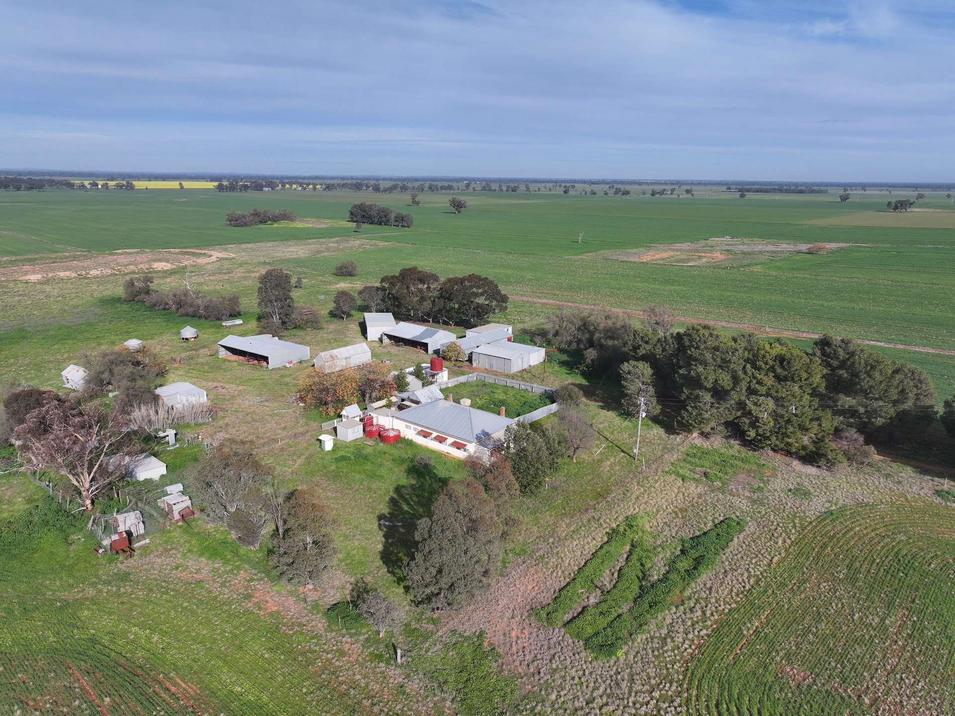 'HAZILEIGH' 411 Hawthorns Lane, Berry Jerry Tender by Farmbuy.com - image 12