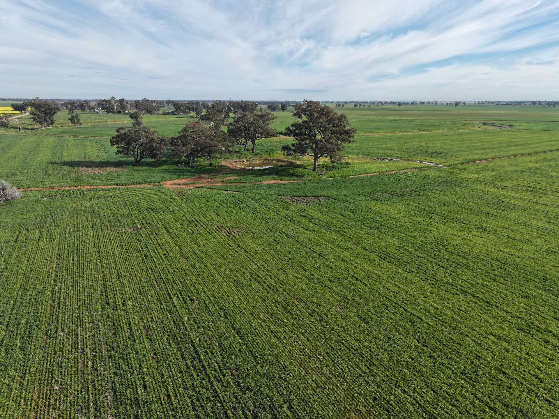 'HAZILEIGH' 411 Hawthorns Lane, Berry Jerry Tender by Farmbuy.com - image 6
