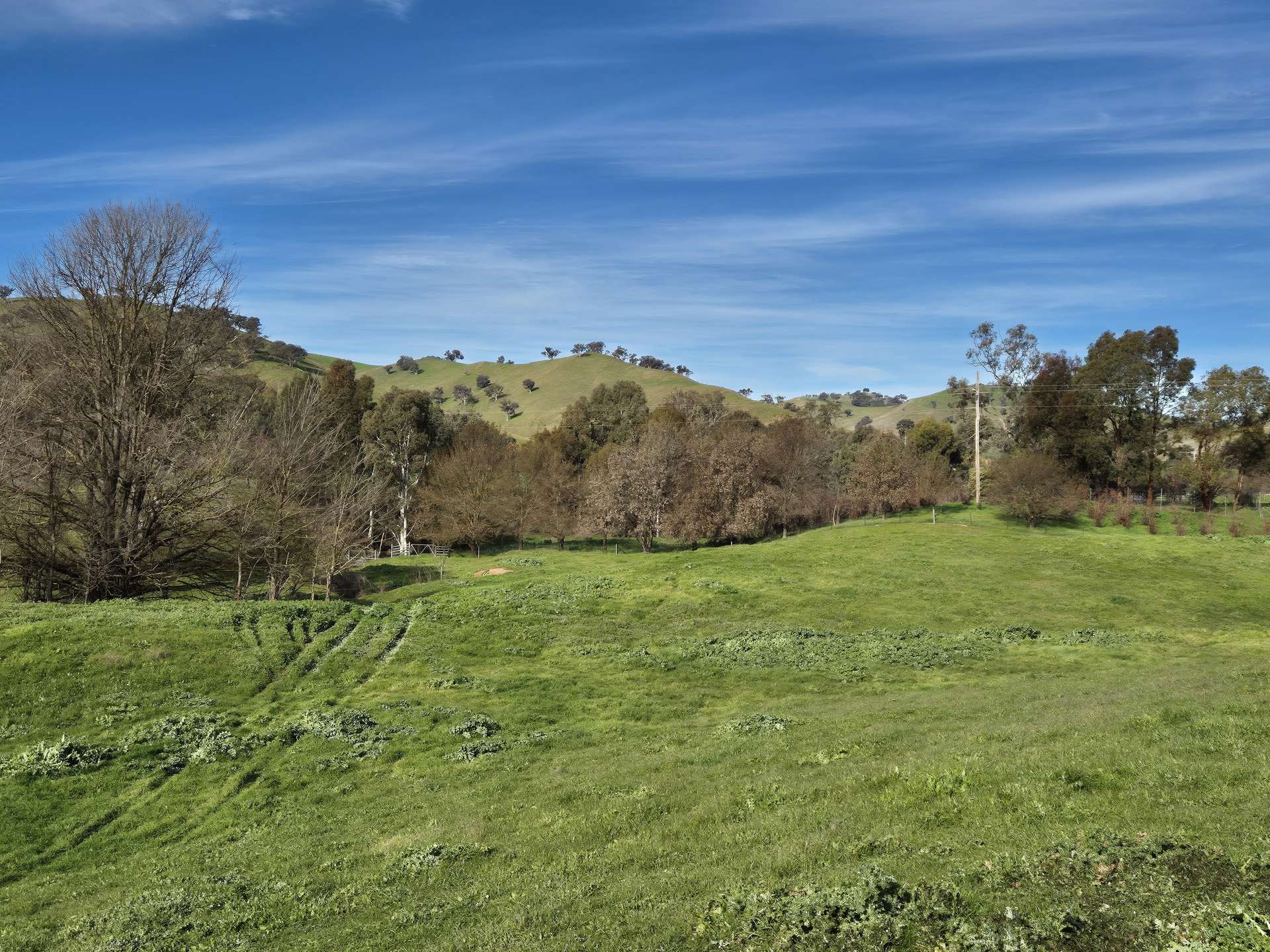 259 Brungle Road, Gundagai For Sale by Farmbuy.com - image 16