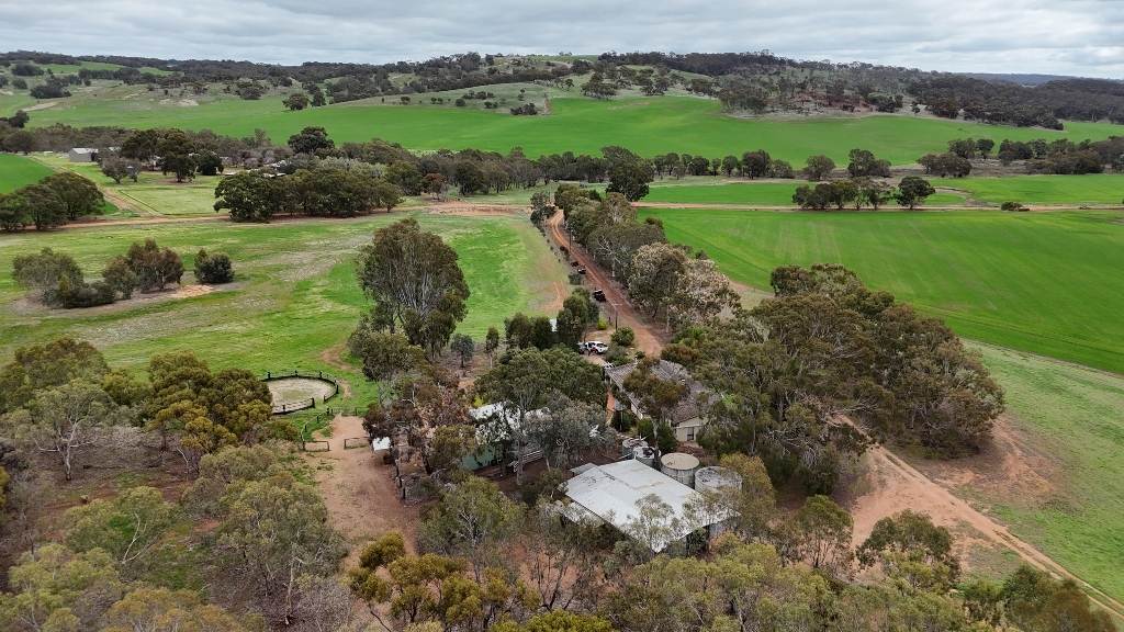 278 Mayanarra Road, Daliak For Sale by Farmbuy.com - image 15