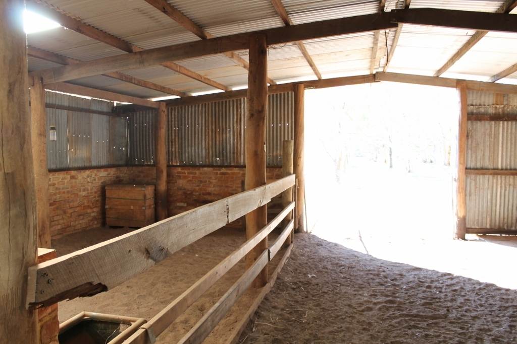 278 Mayanarra Road, Daliak For Sale by Farmbuy.com - image 9