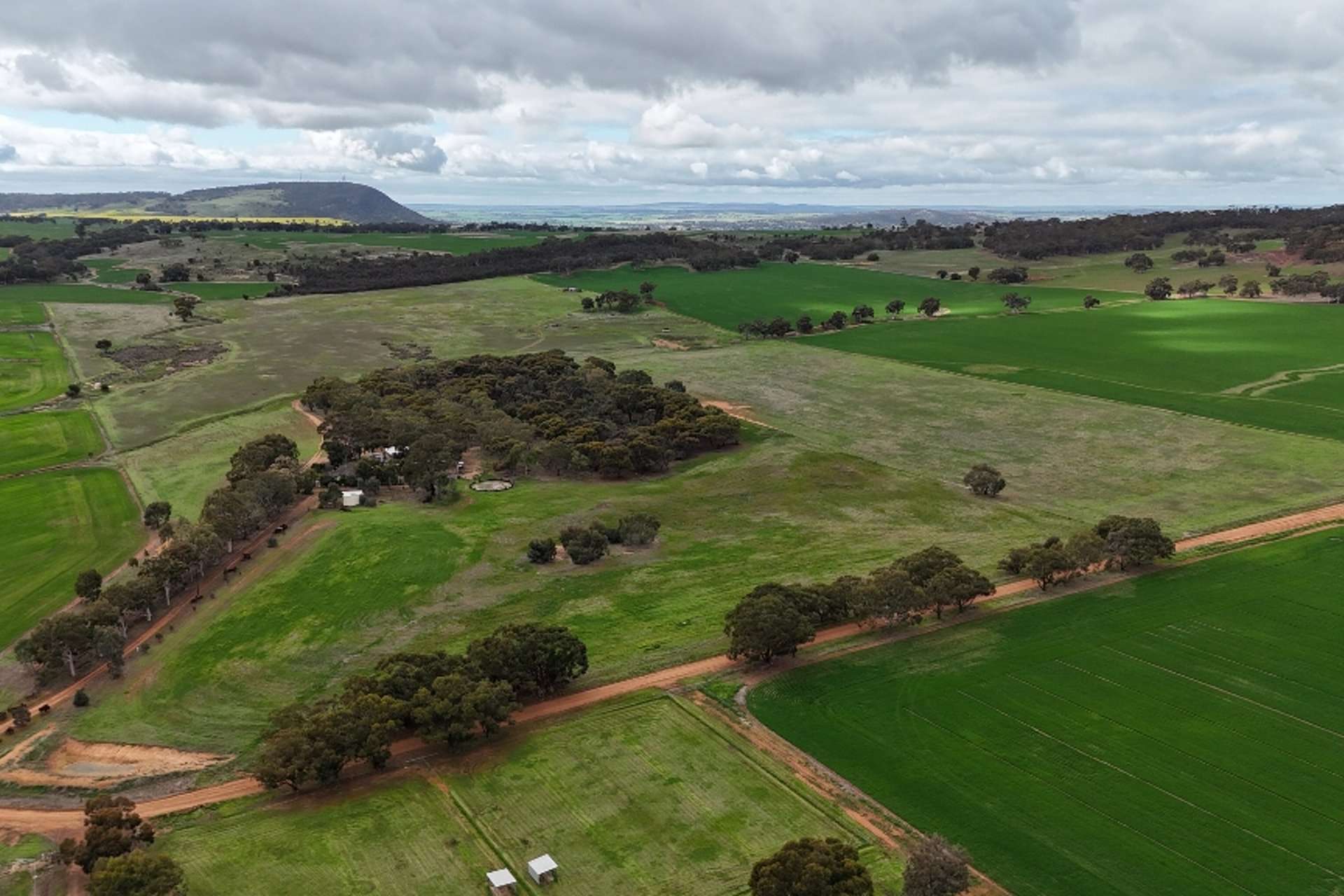 278 Mayanarra Road, York Sold by Farmbuy.com - image 16